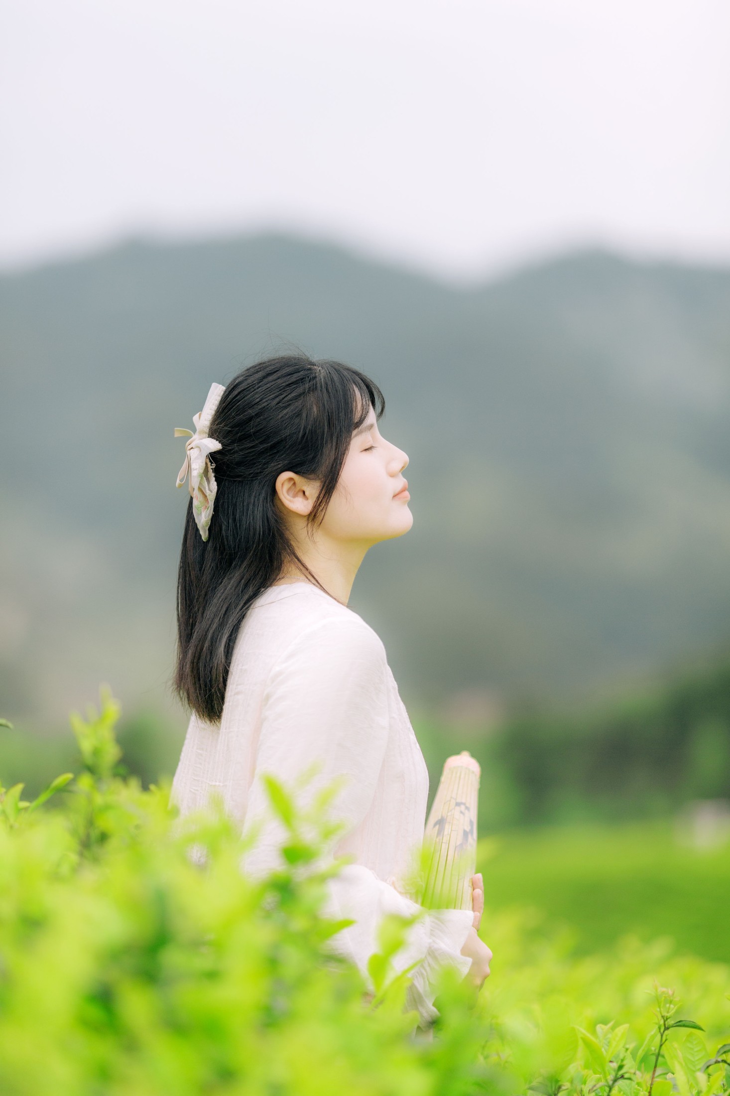 般若 – 《茶山行》[17P] 插图4