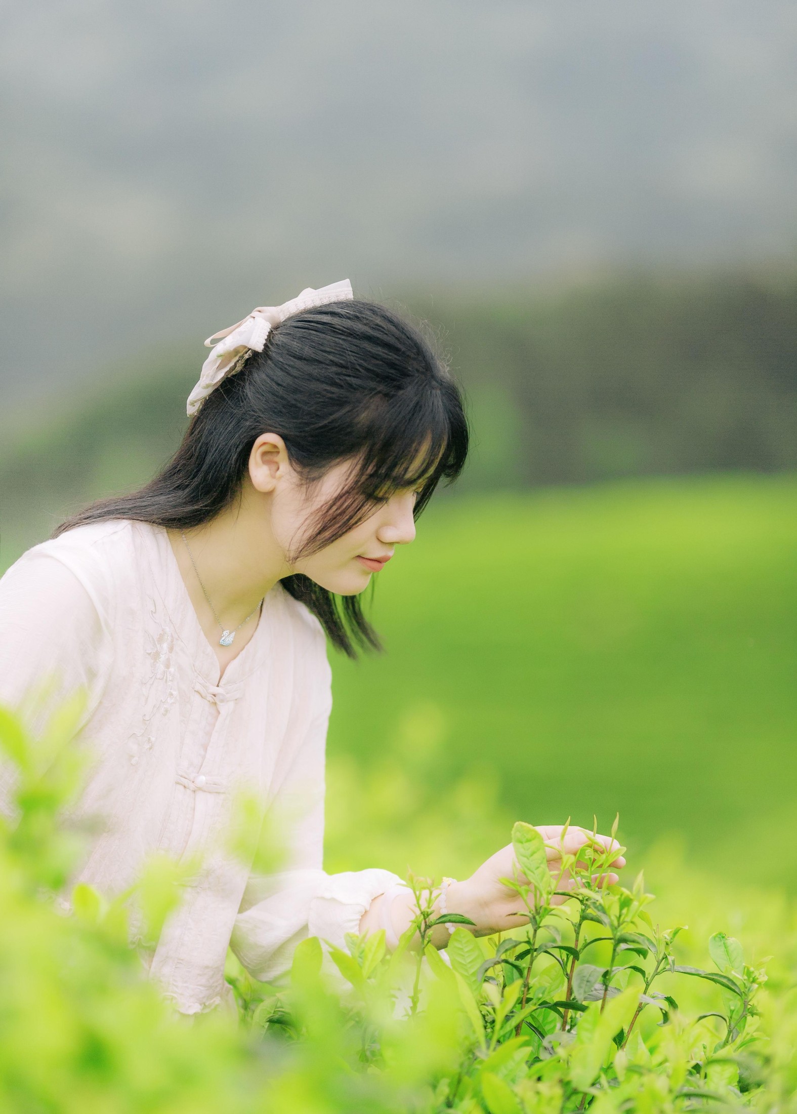 般若 – 《茶山行》[17P] 插图2