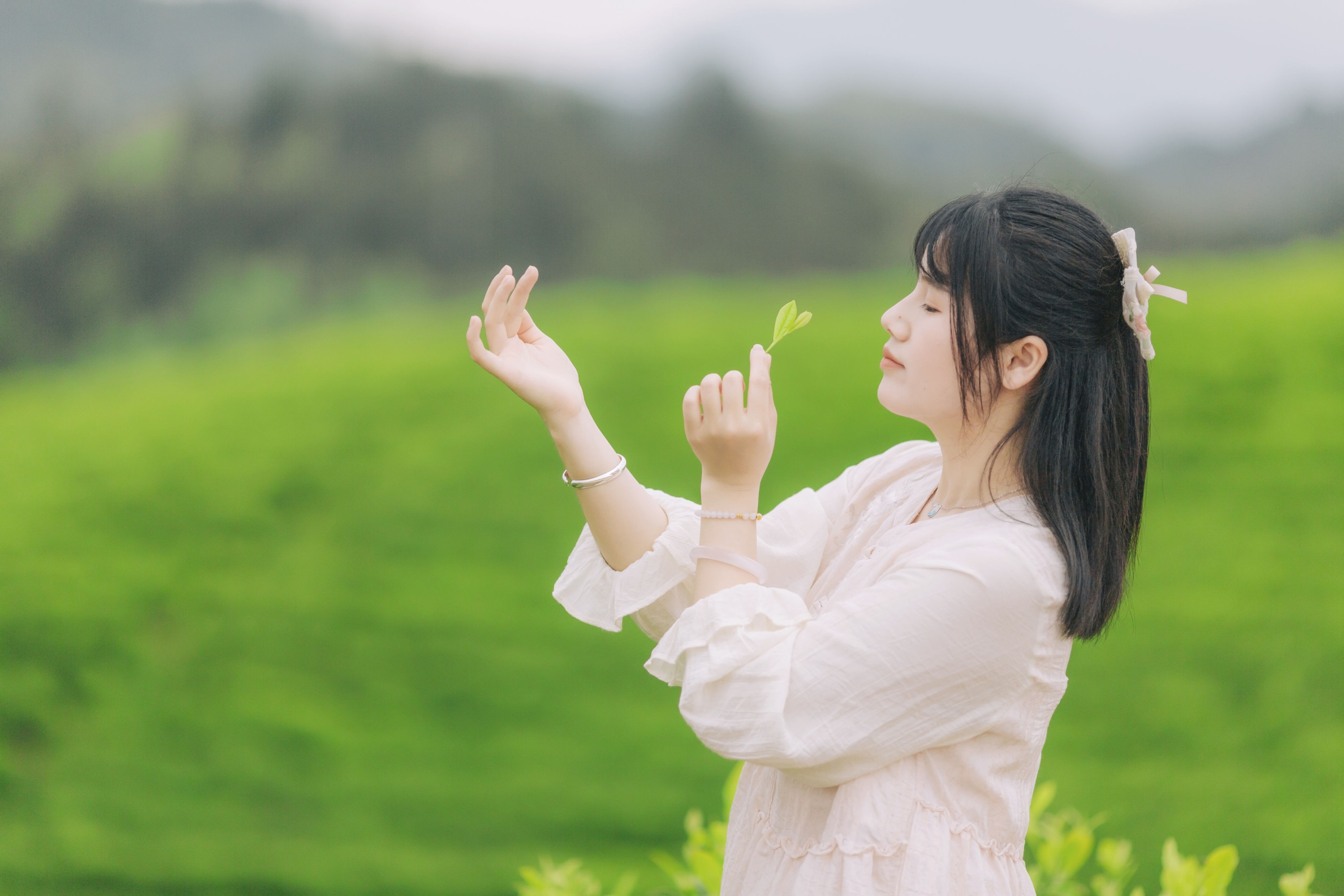 般若 – 《茶山行》[17P] 插图5