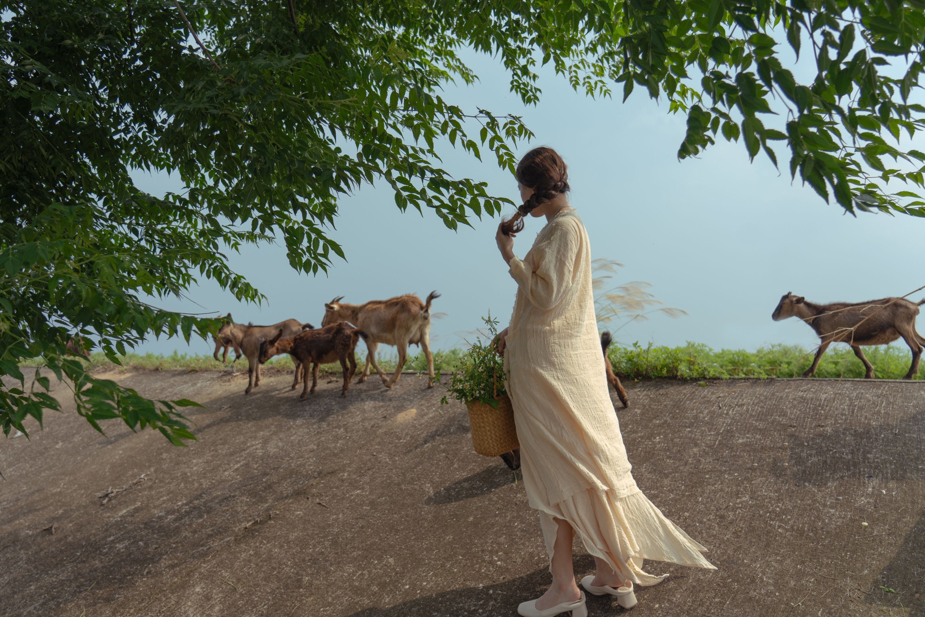 今晶 – 《凤与草的絮语》[16P] 插图3