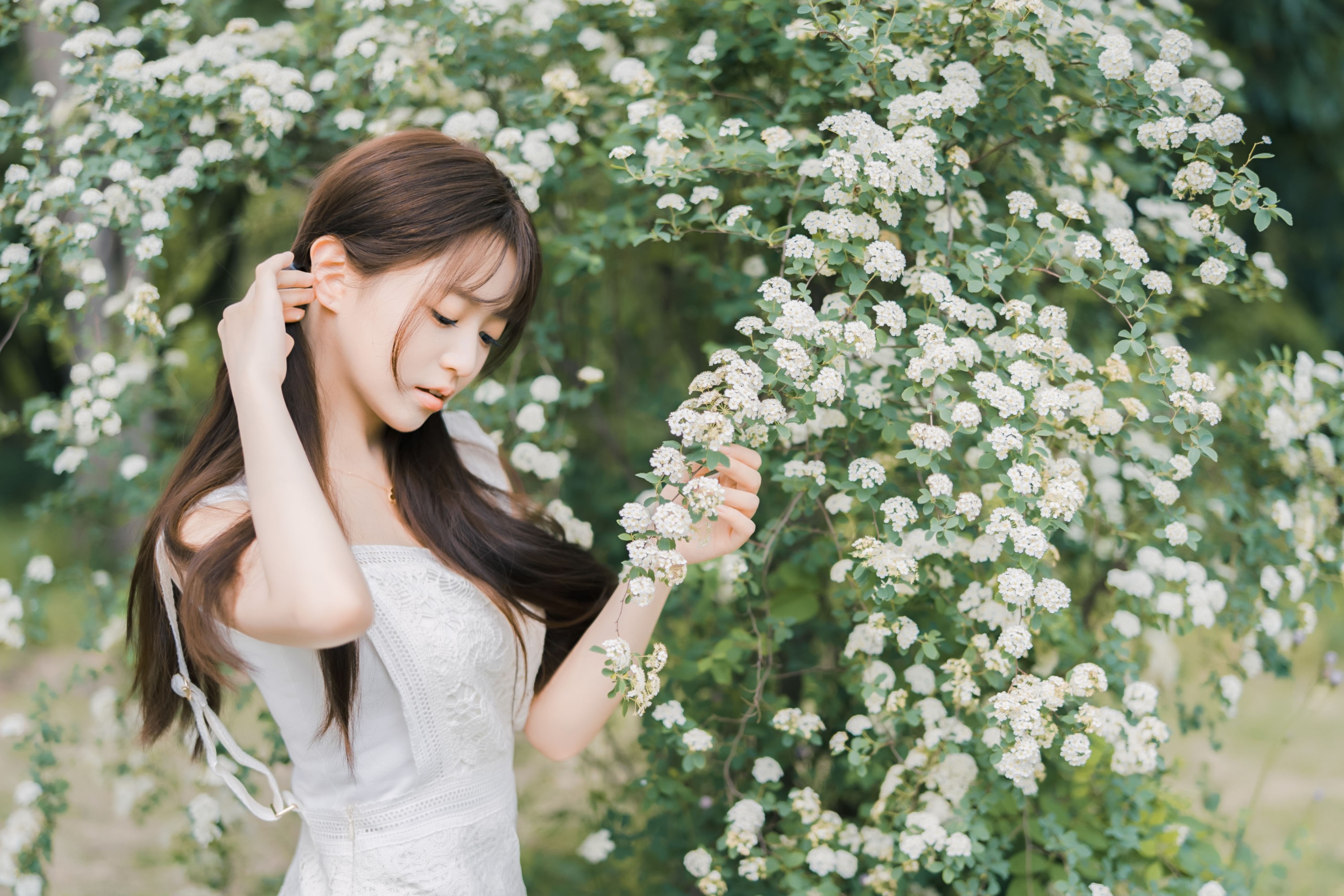 小亿 – 《蔷薇小可爱》[32P]-66COS