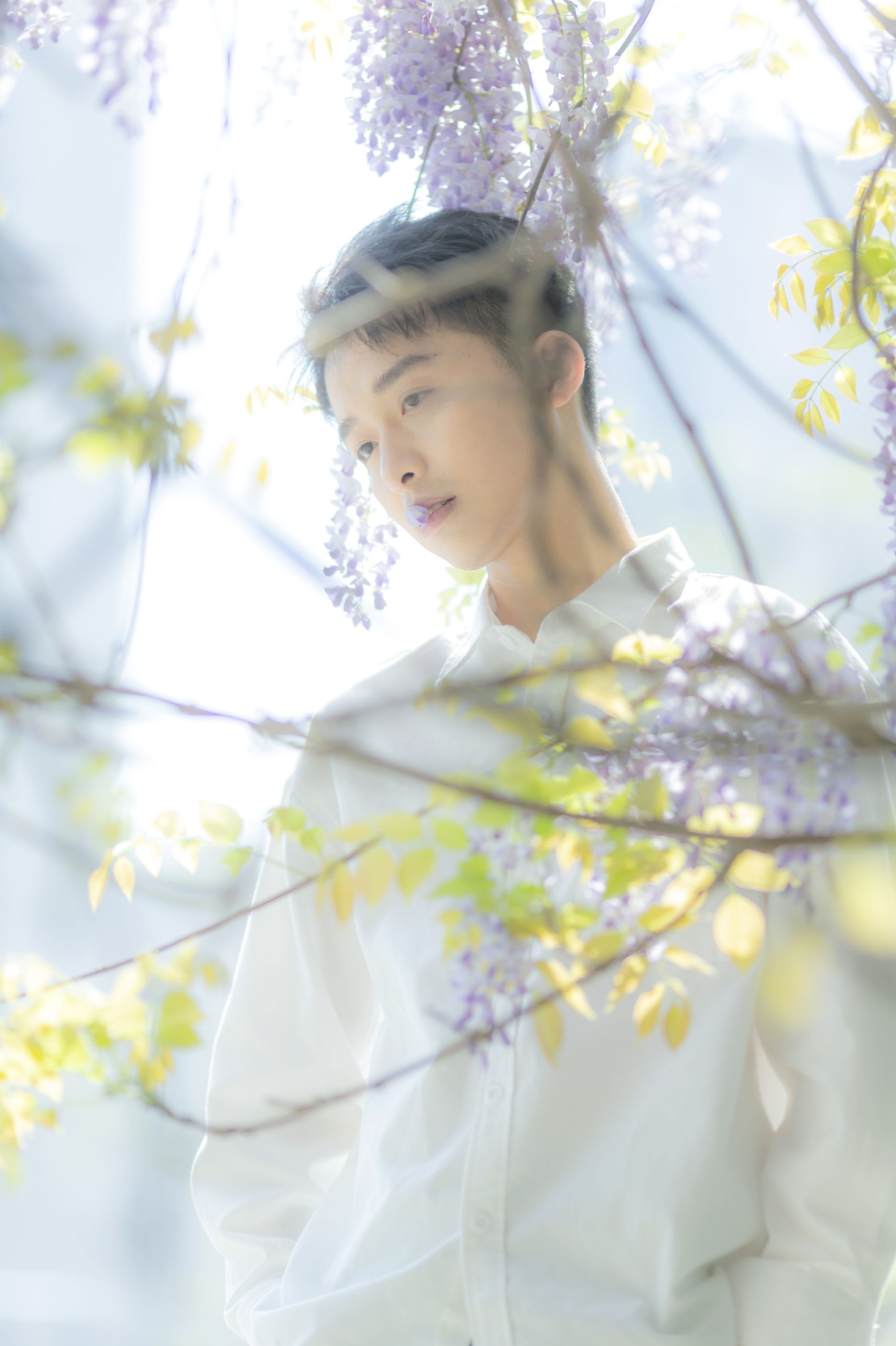 峥 – 《花儿与少年》[17P] 插图4