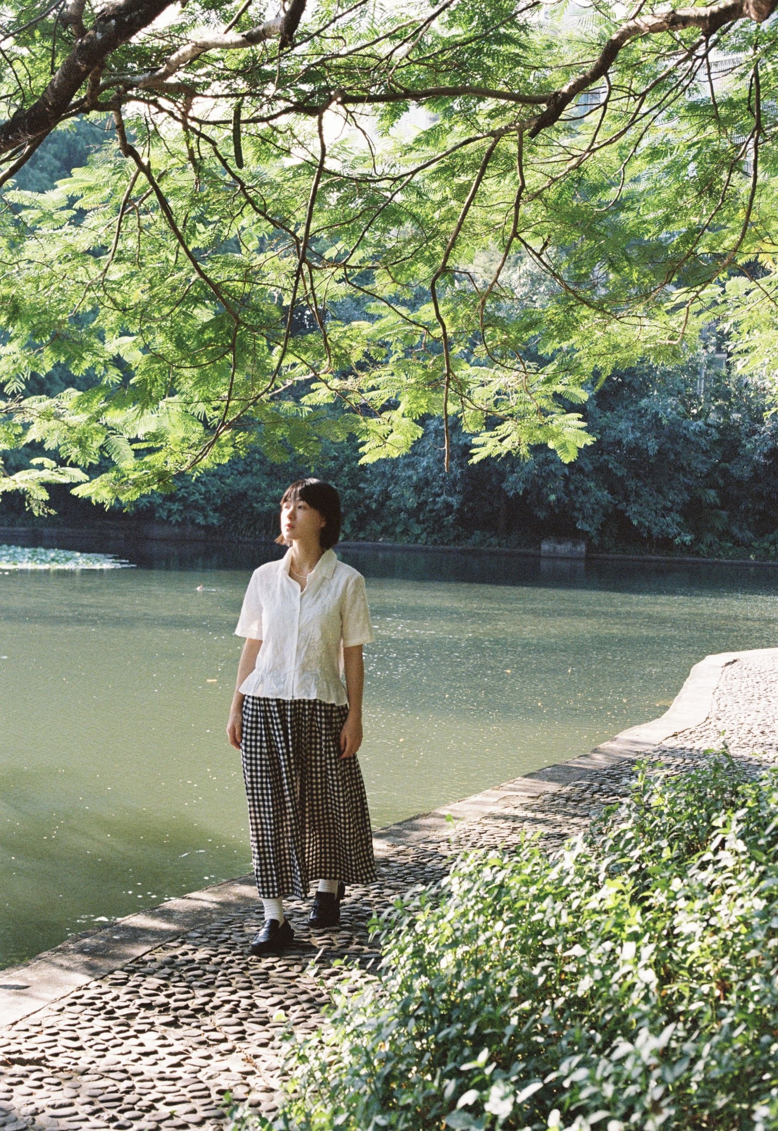 Crystal啦 – 《光的绿意》[13P] 插图5