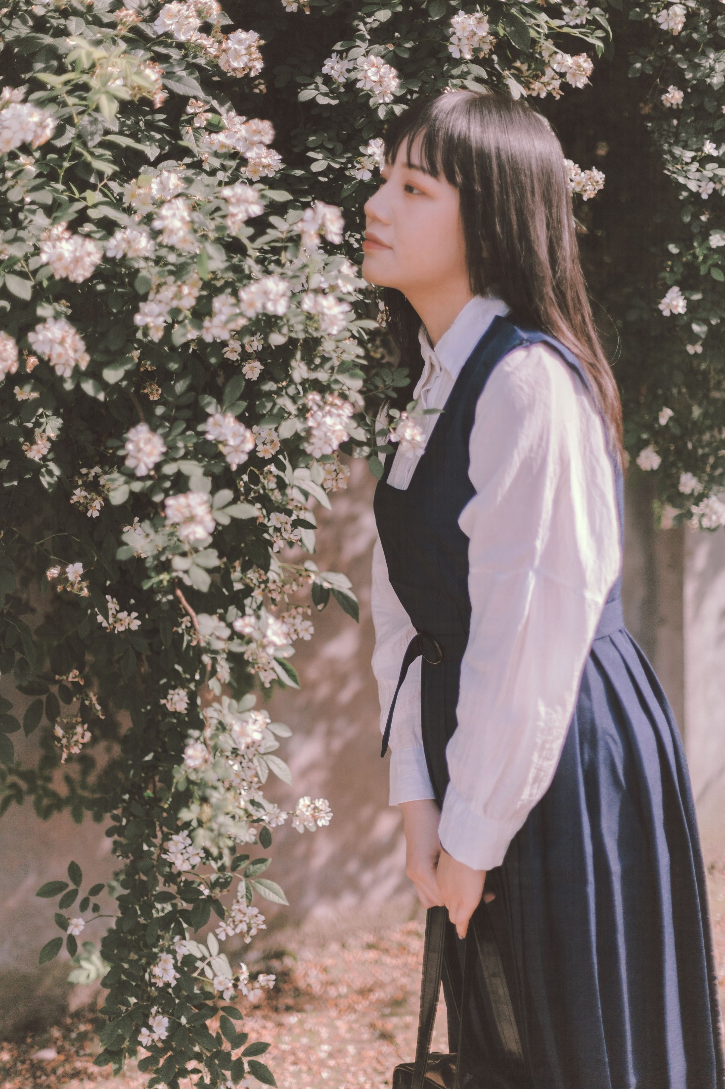 晗 – 《蔷薇花开》[17P] 插图4