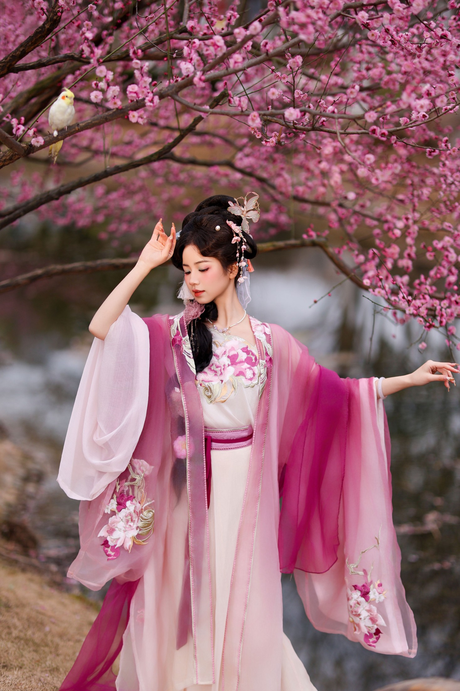 小杜同学 – 《芍药》[33P] 插图5