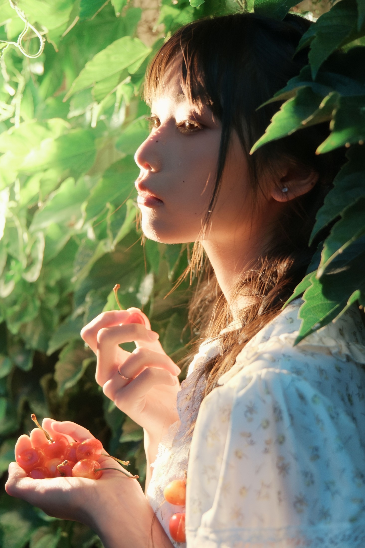 西一奥 – 《Poor Cherries》[28P]-66COS