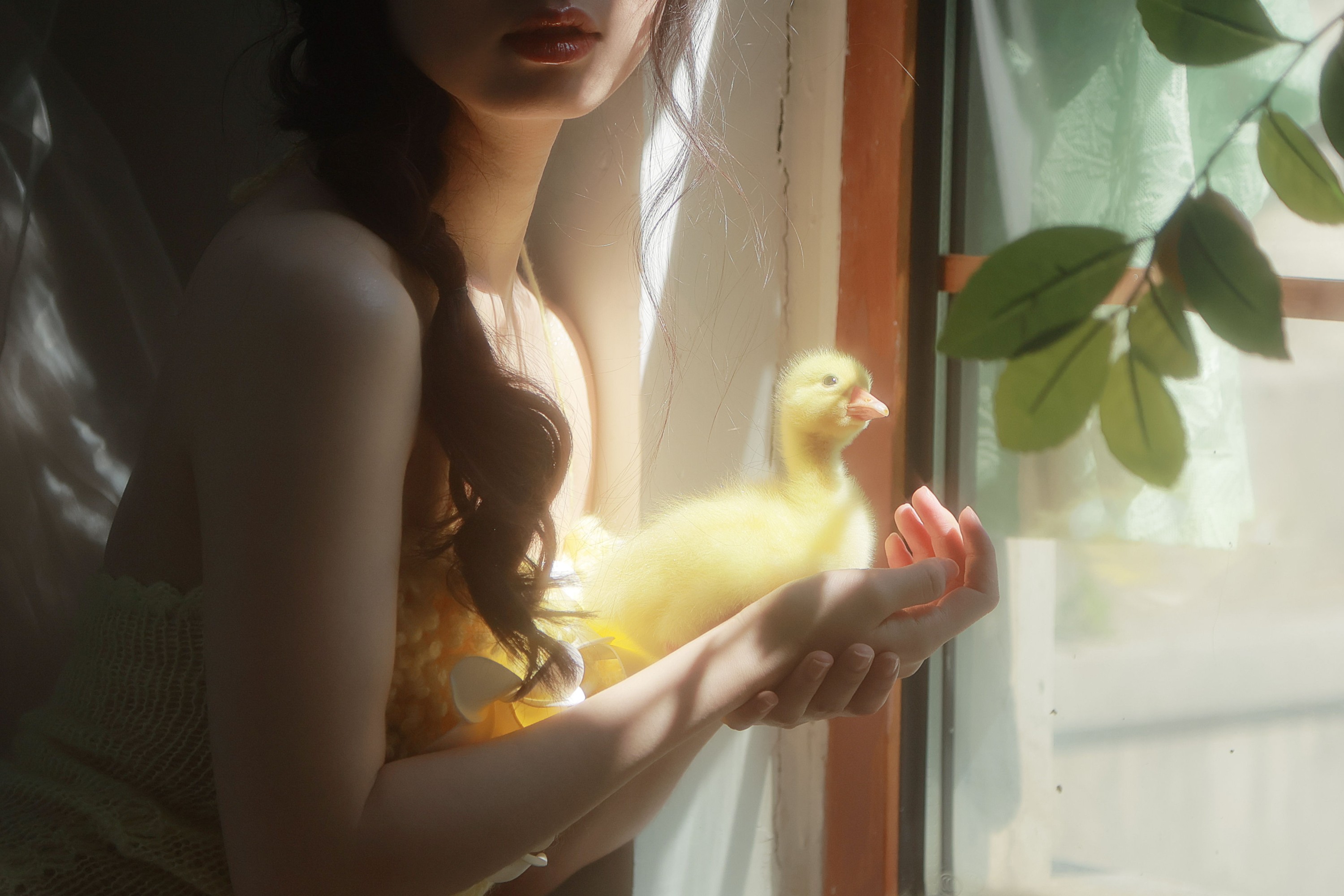 姚-胖胖 – 《春日小黄鸭》[14P] 插图3