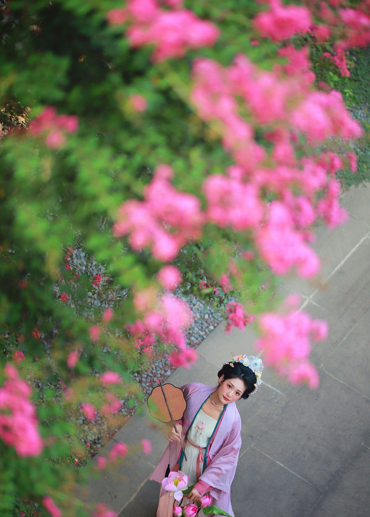 一只大大大李子 – 《紫薇花开》[27P] 插图2