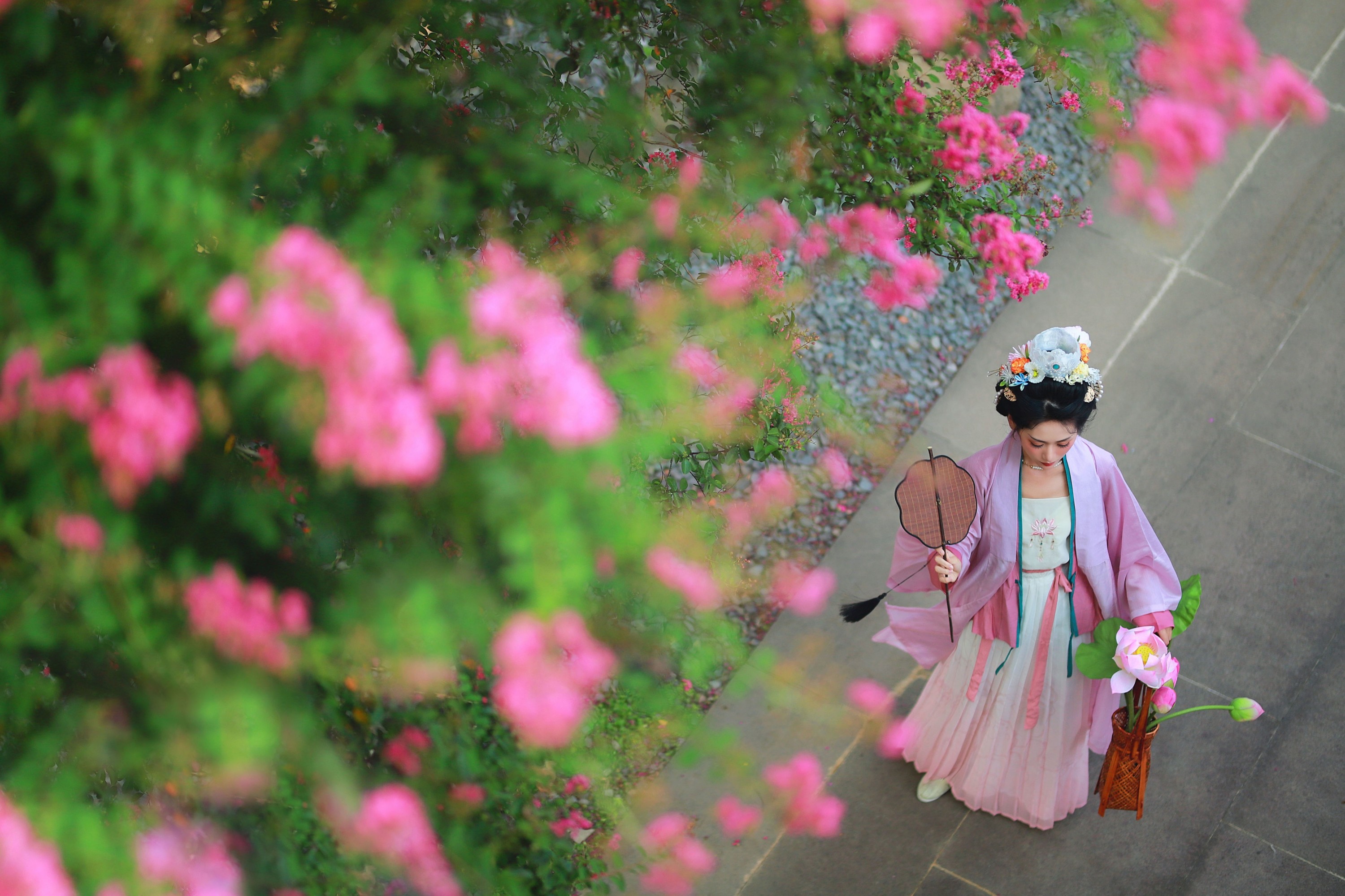 一只大大大李子 – 《紫薇花开》[27P]-66COS