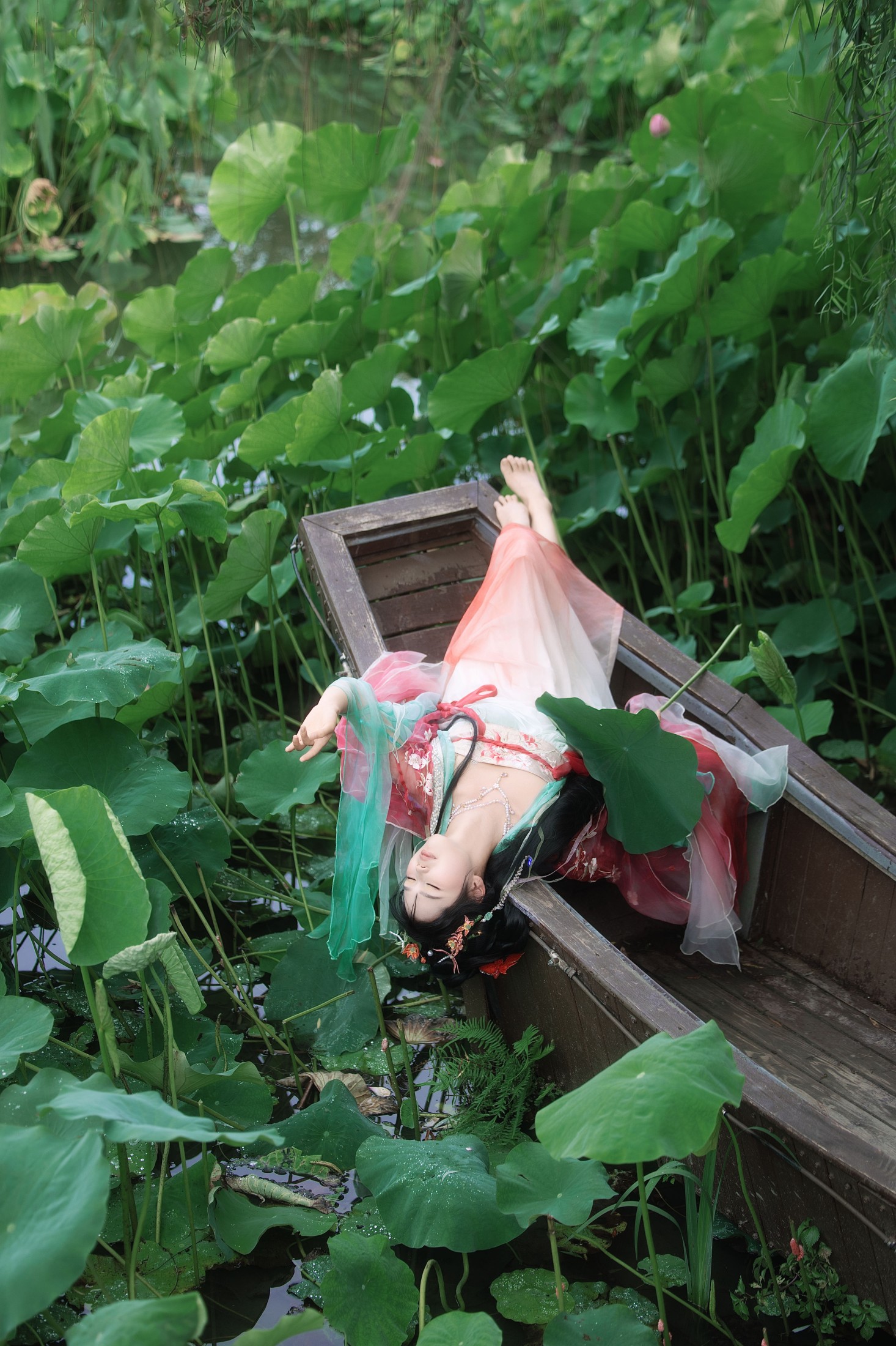 婳婳 – 《夏日荷花》[17P] 插图3