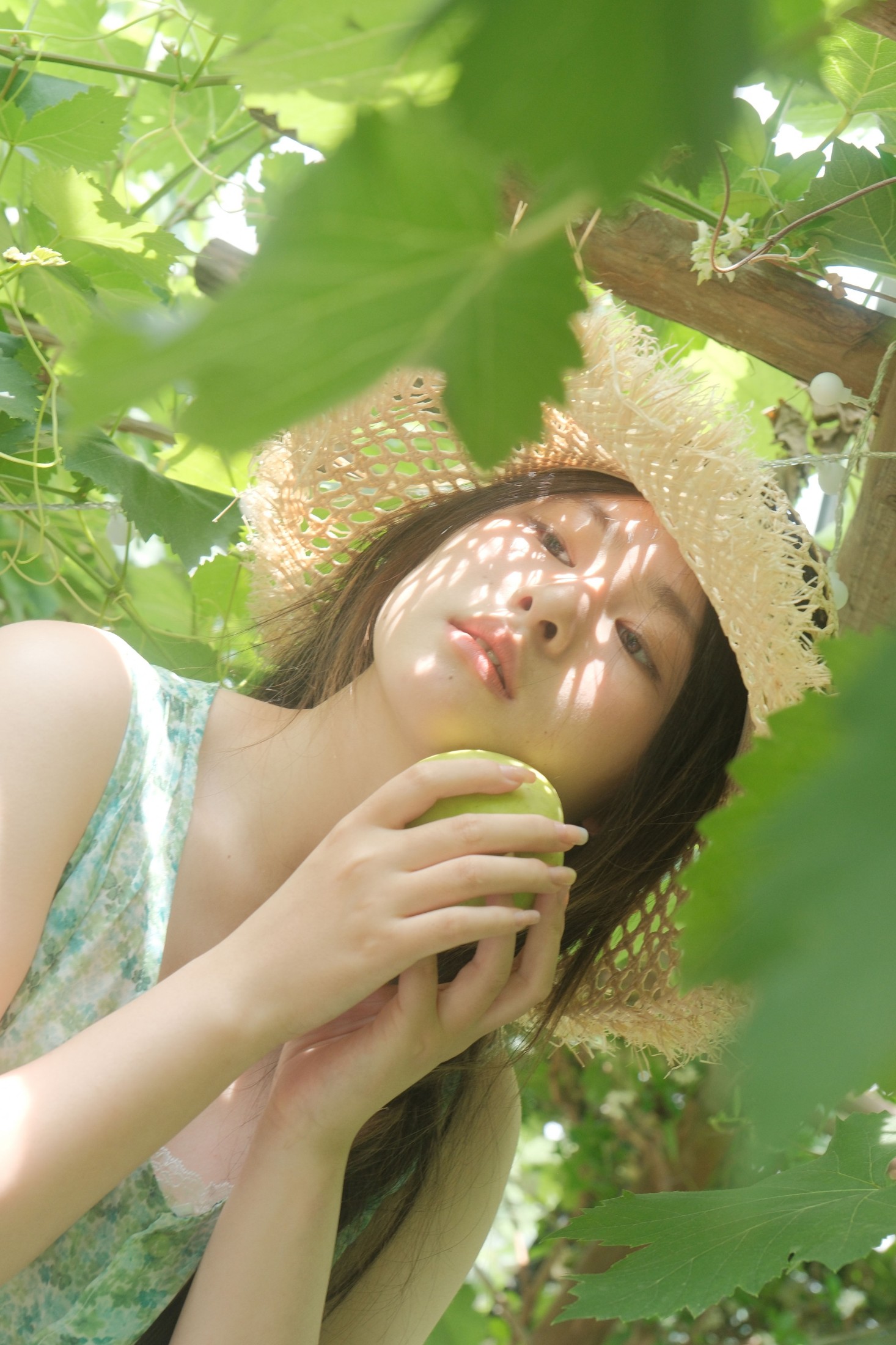 皖 – 《风车茉莉》[22P] 插图4