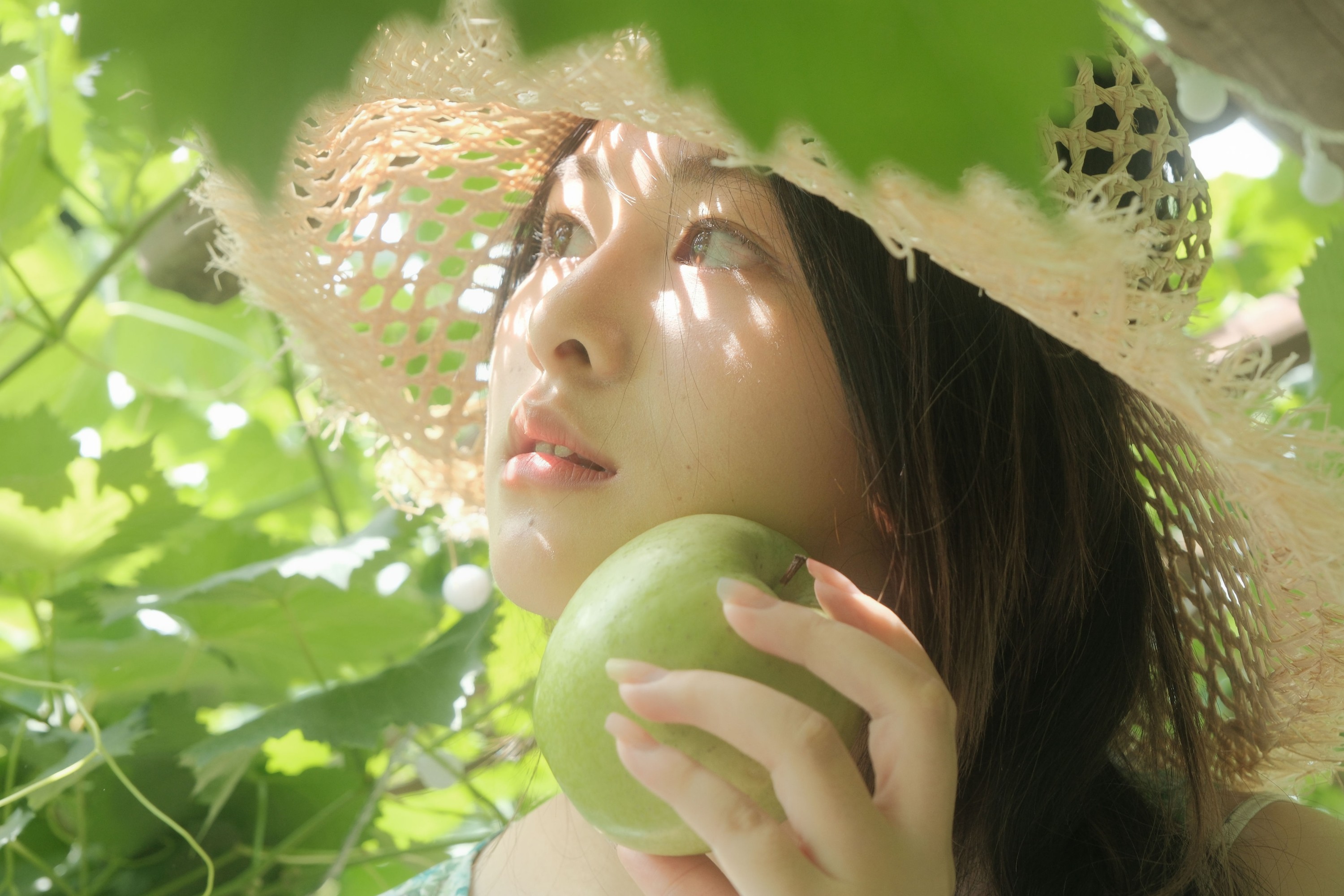 皖 – 《风车茉莉》[22P] 插图5