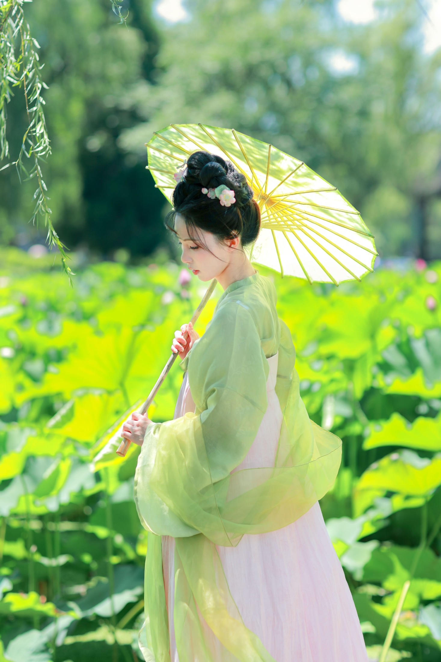 二氧化棠 – 《绿荫浓，夏日长》[13P]-66COS