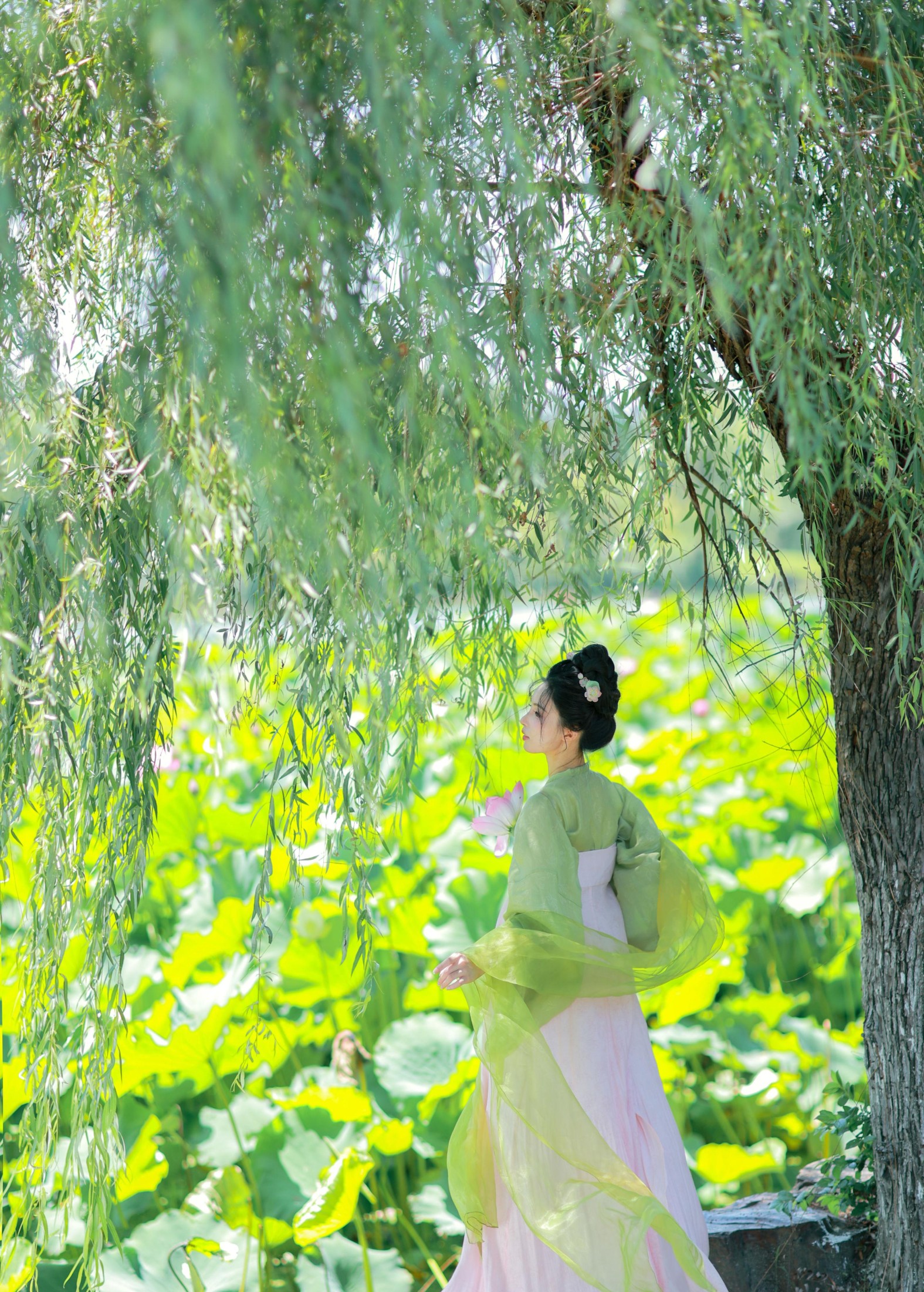 二氧化棠 – 《绿荫浓，夏日长》[13P] 插图2