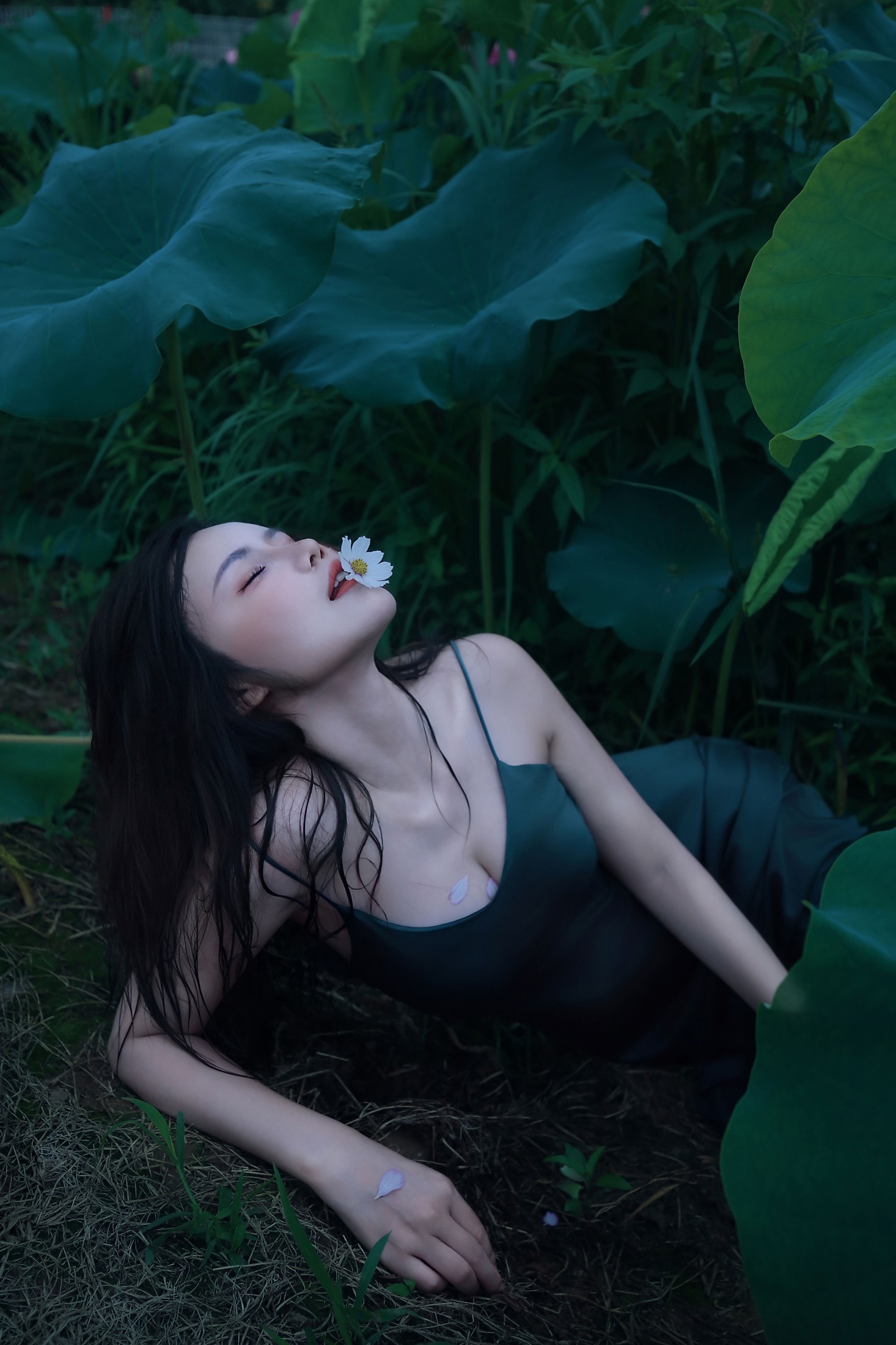 泽书 – 《碧罗栽夏》[18P]-66COS