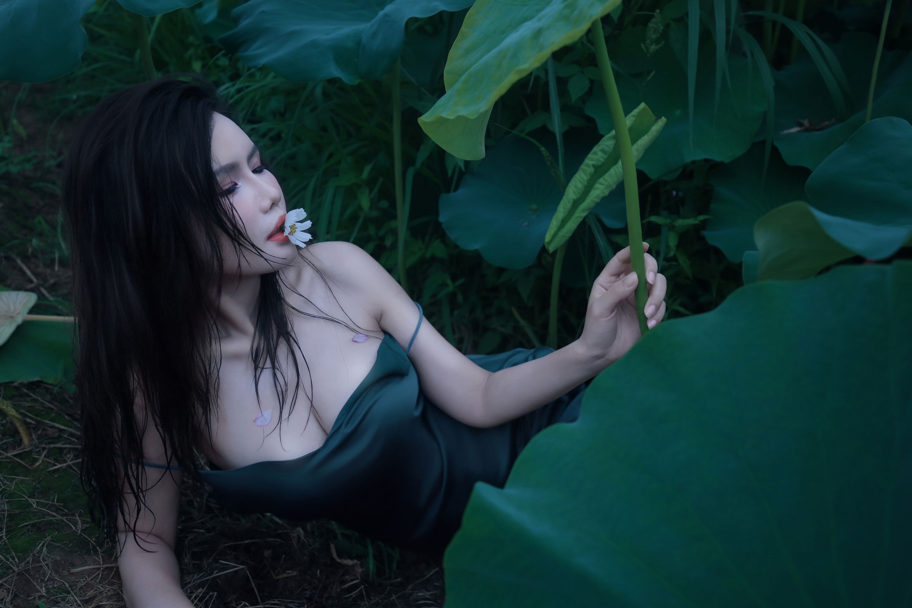 泽书 – 《碧罗栽夏》[18P] 插图5