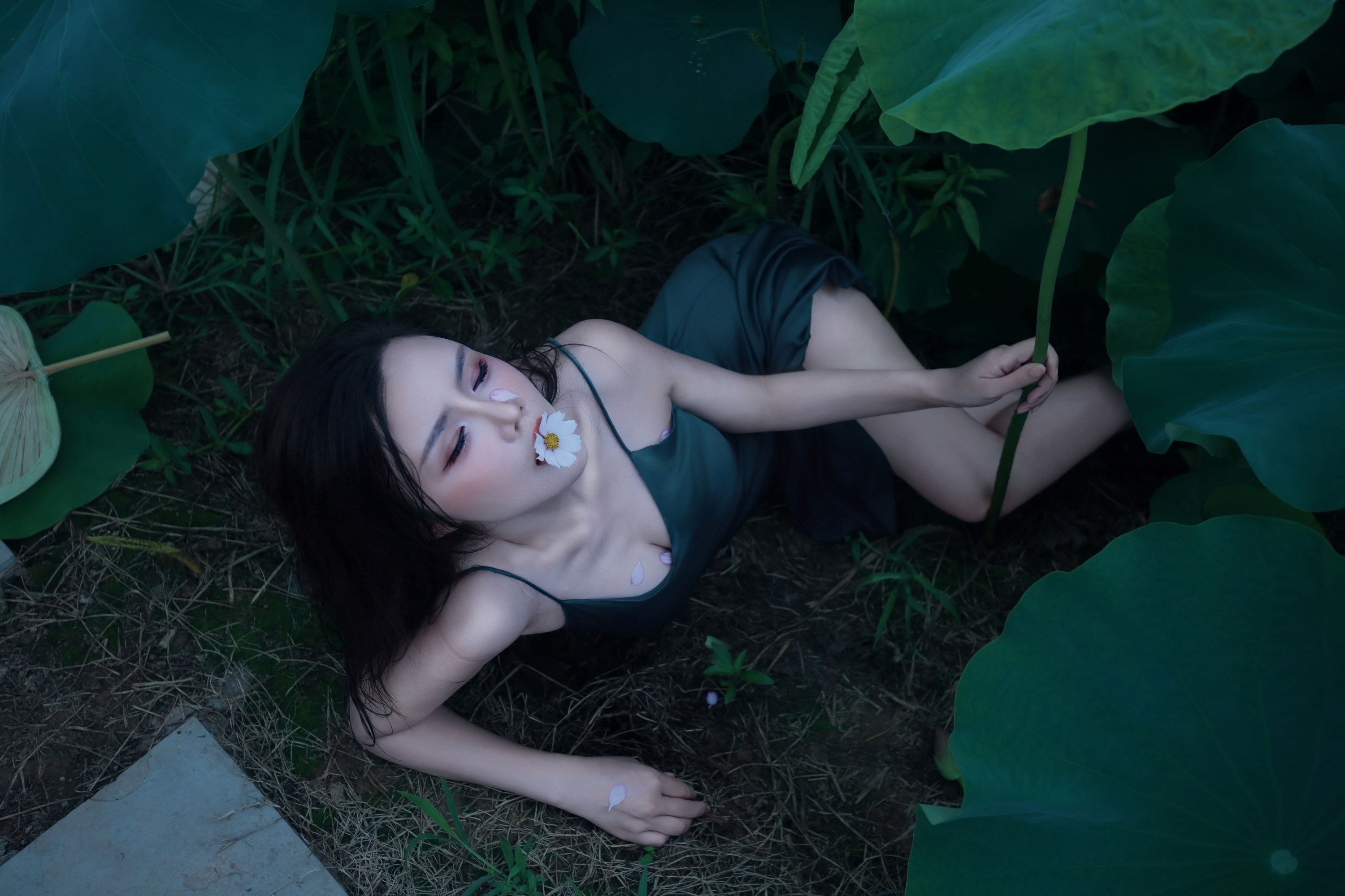 泽书 – 《碧罗栽夏》[18P] 插图3