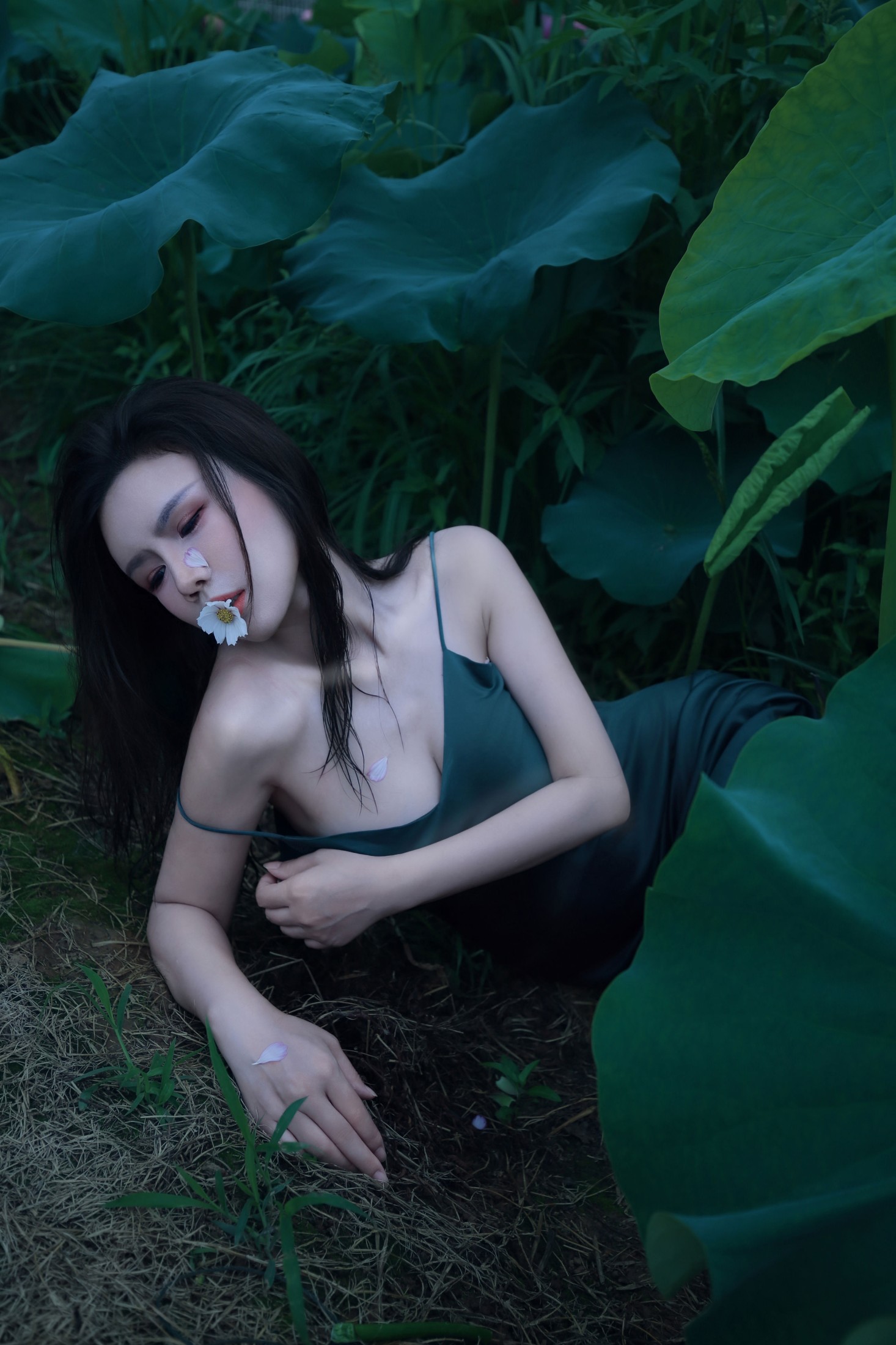 泽书 – 《碧罗栽夏》[18P] 插图4