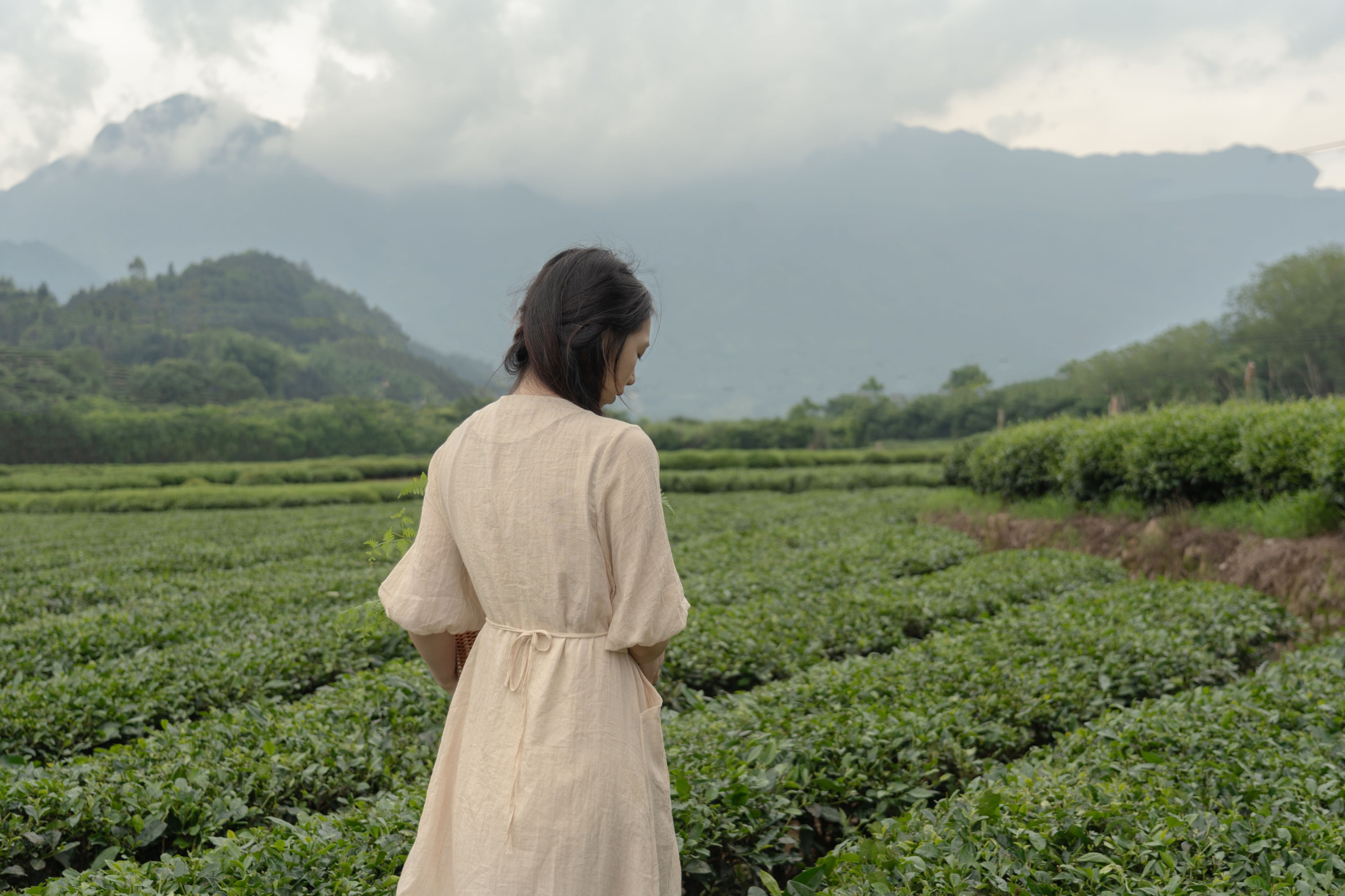 板栗 – 《沐野》[16P] 插图4