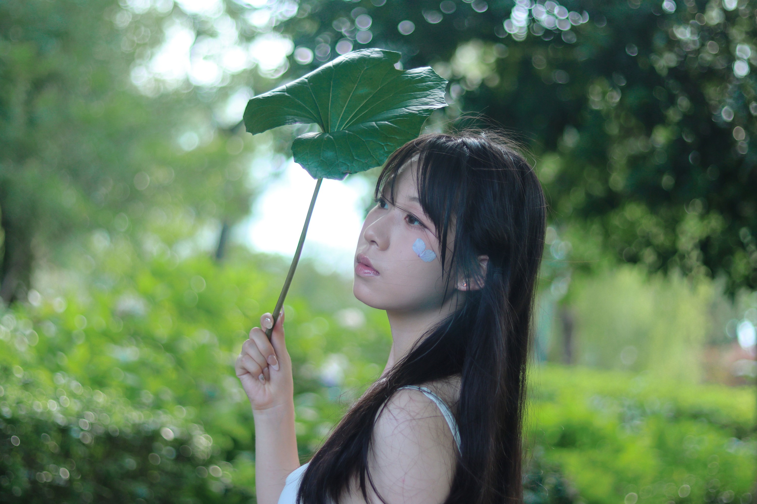 桃一 – 《雨中绣球》[17P] 插图4