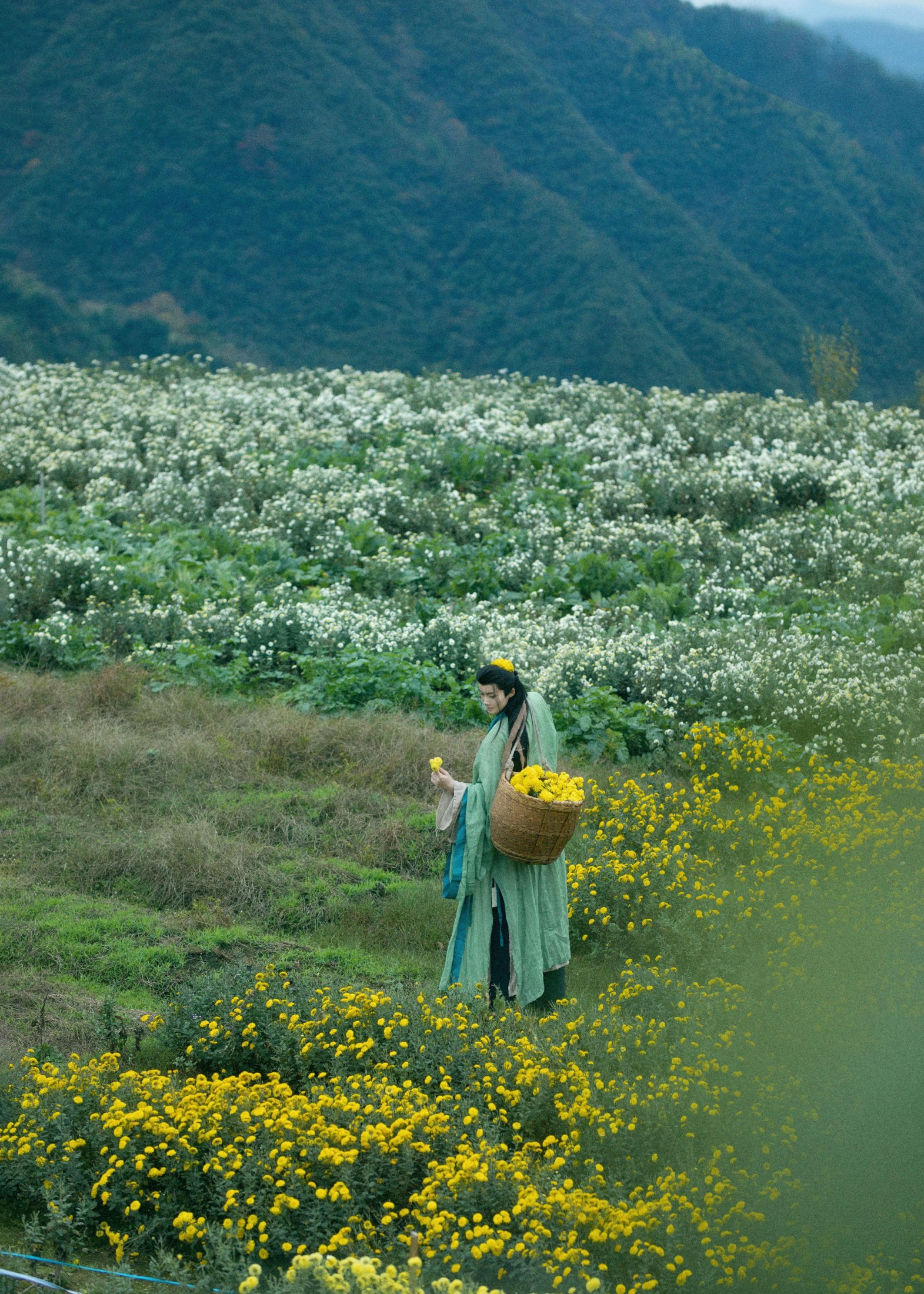 星查 – 《归园田居》[17P] 插图2