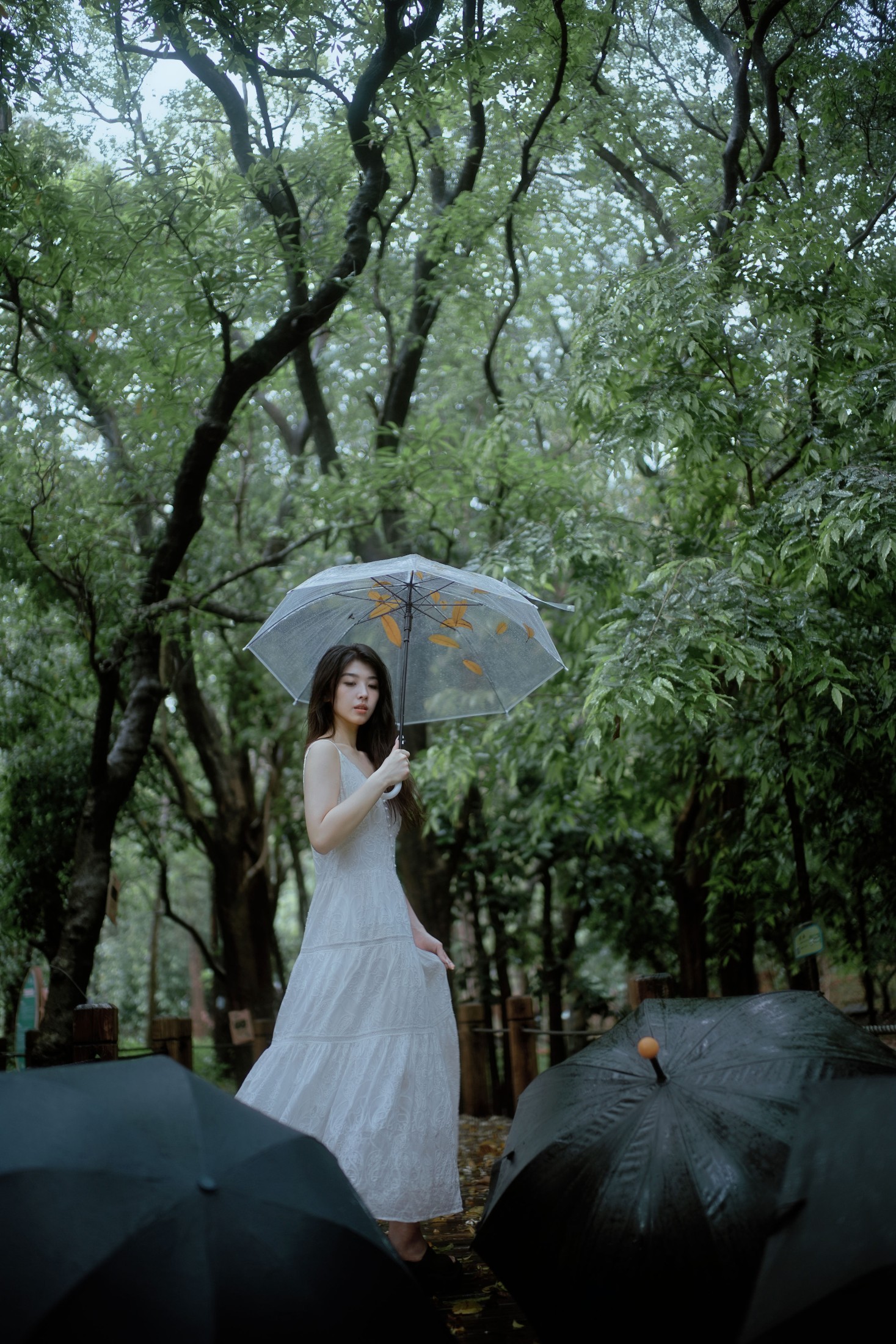 小鹿 – 《雨落林间，邂逅白裙仙子》[20P] 插图5