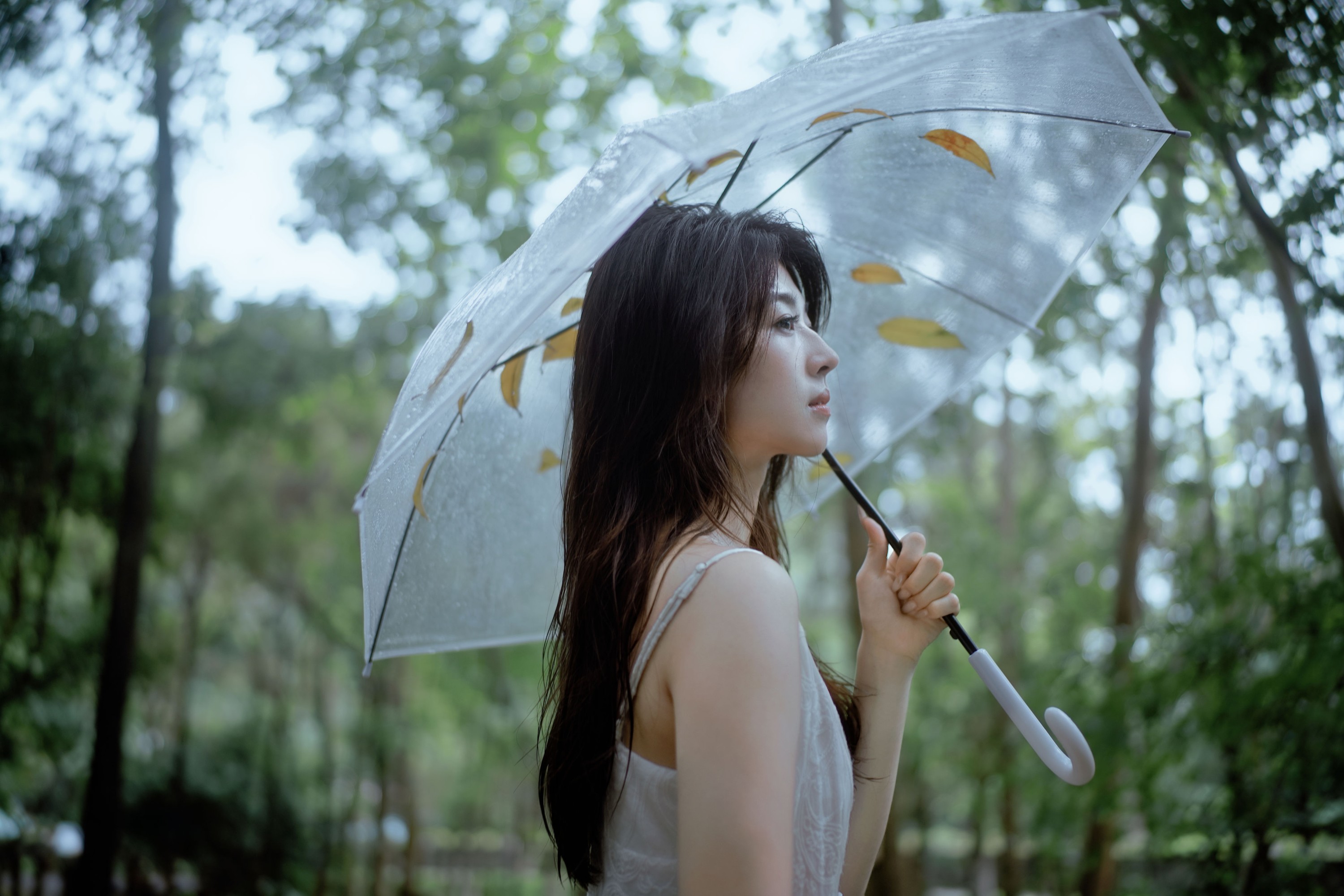 小鹿 – 《雨落林间，邂逅白裙仙子》[20P]-66COS