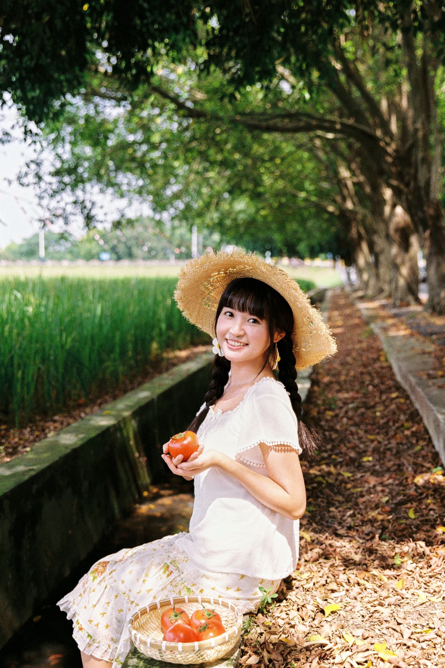 奇妙莉莉子 – 《我喜欢的盛夏》[16P]-66COS