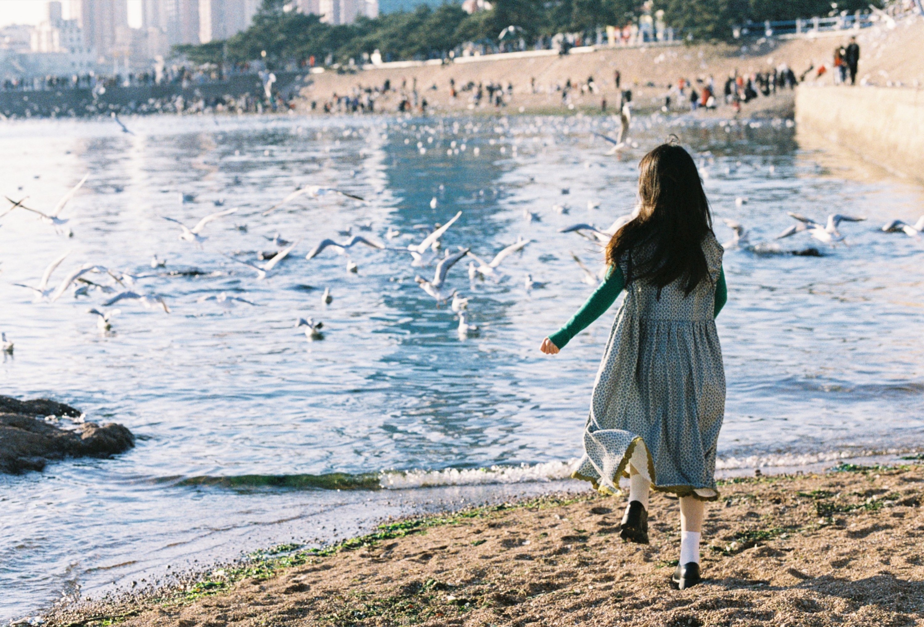 圆脸诺 – 《海鸥不再眷恋大海》[28P] 插图4