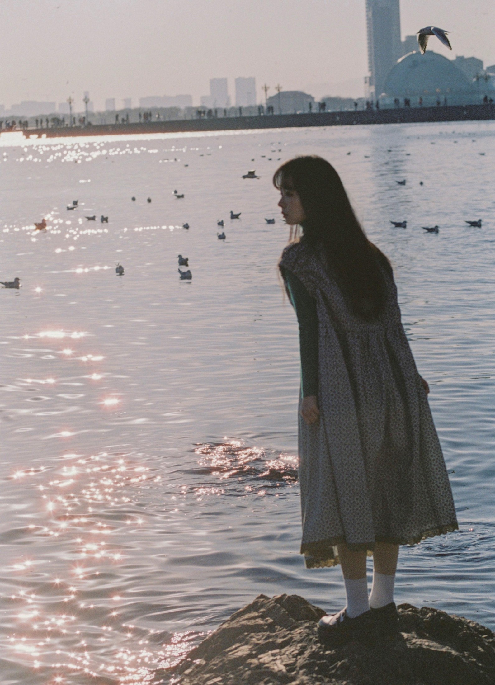 圆脸诺 – 《海鸥不再眷恋大海》[28P] 插图2