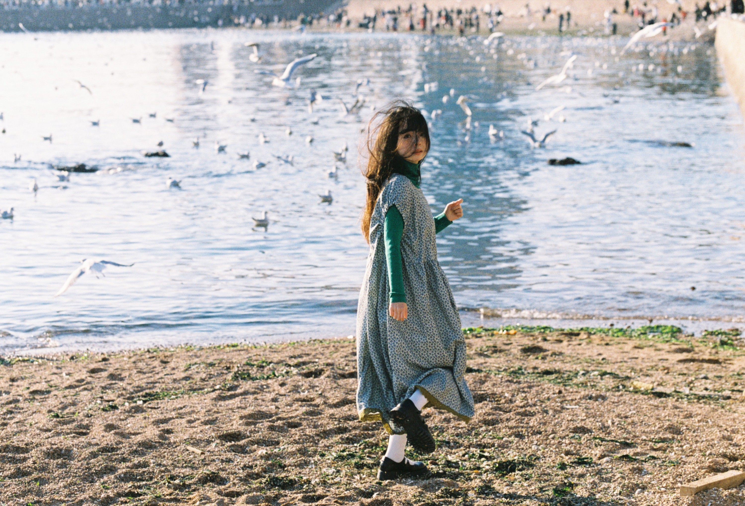 圆脸诺 – 《海鸥不再眷恋大海》[28P] 插图3