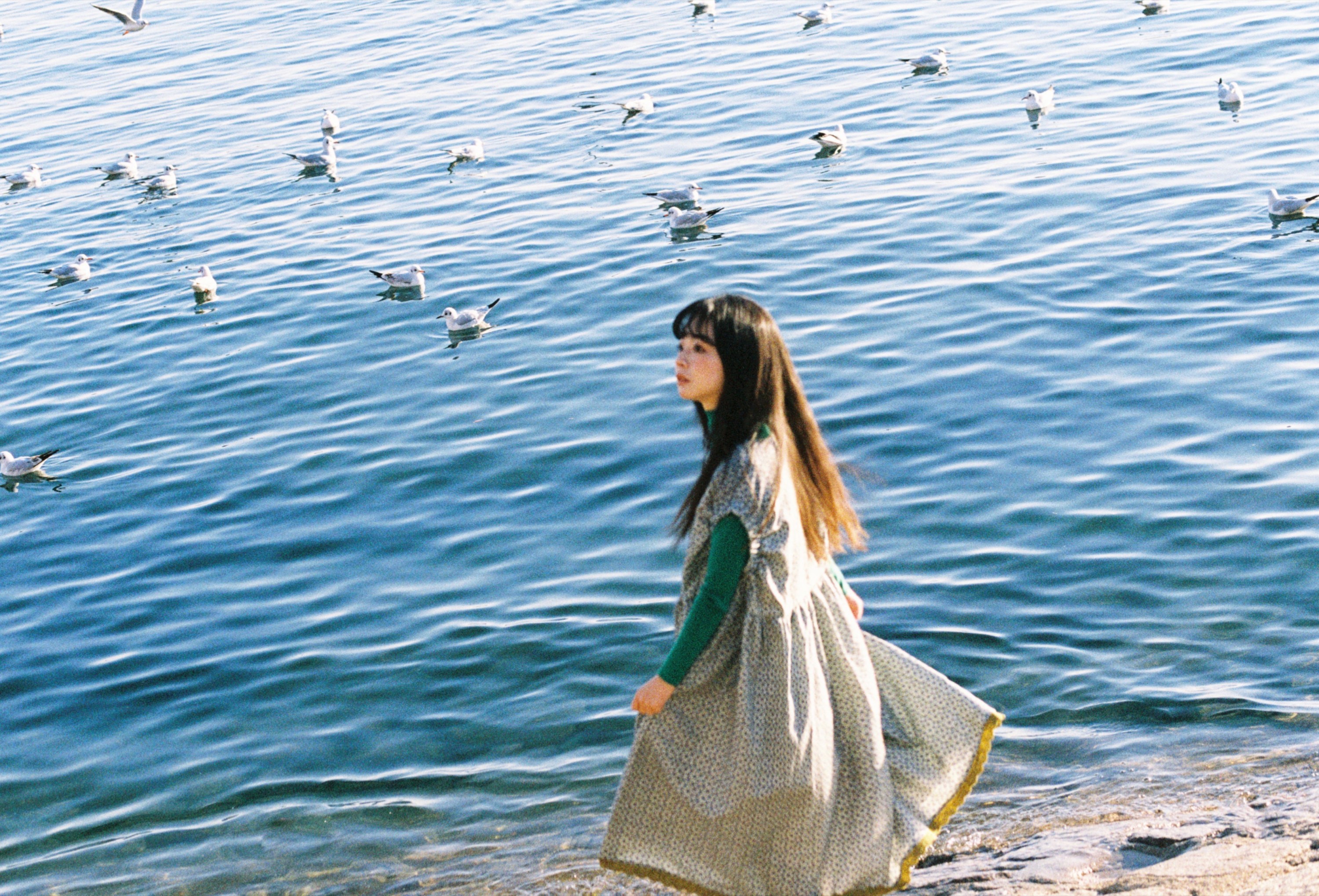 圆脸诺 – 《海鸥不再眷恋大海》[28P] 插图5