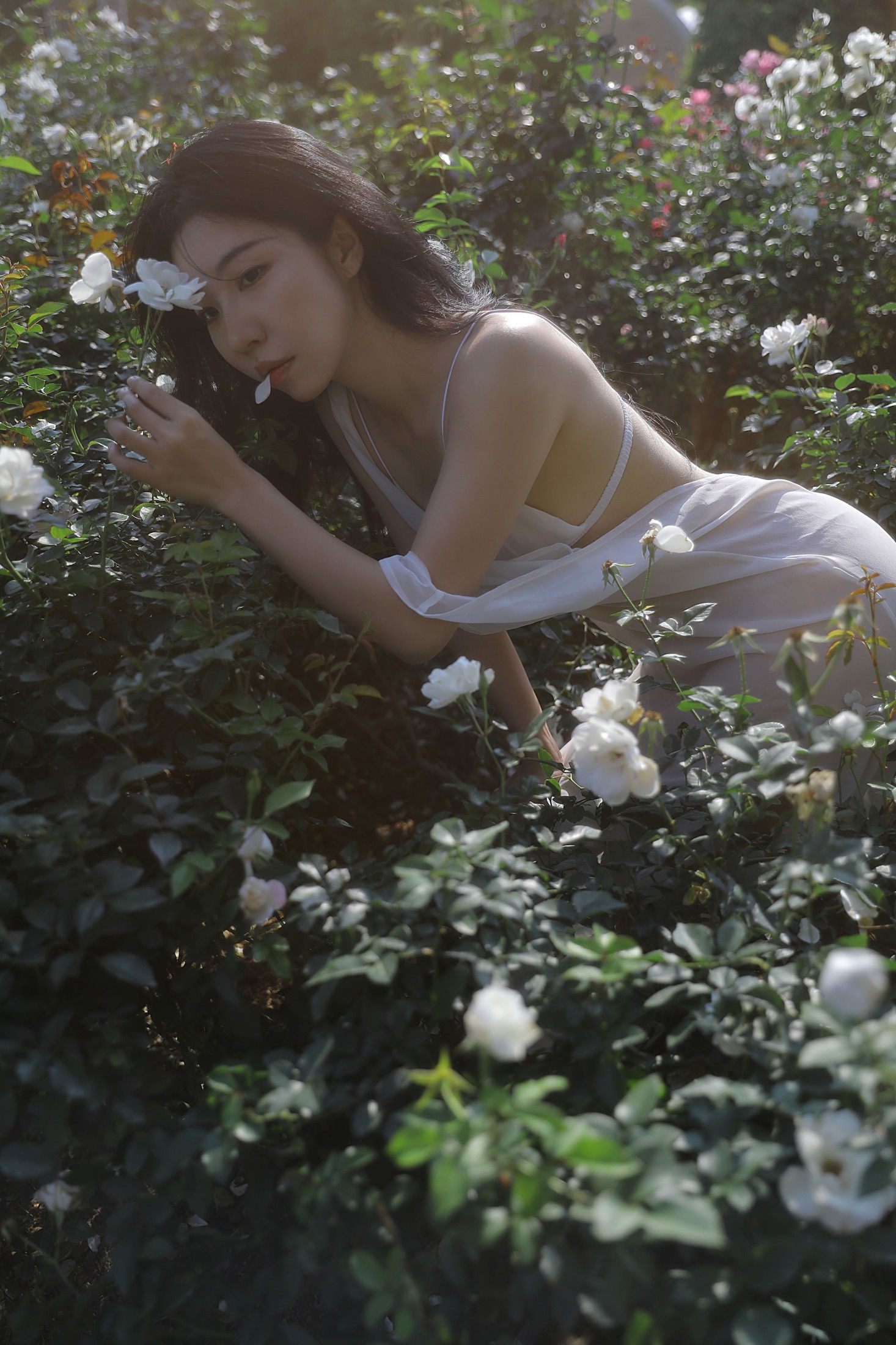 Wendy园子模特 – 《细嗅蔷薇》[19P] 插图5