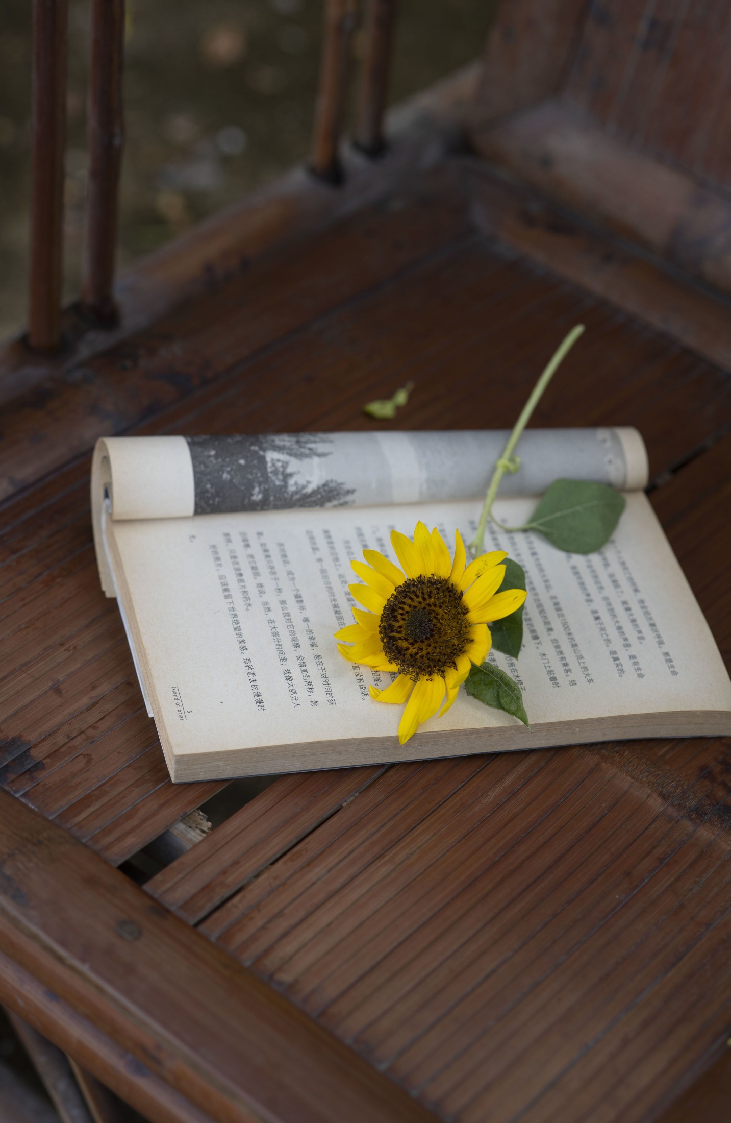 小野 – 《山野灿漫》[27P] 插图5