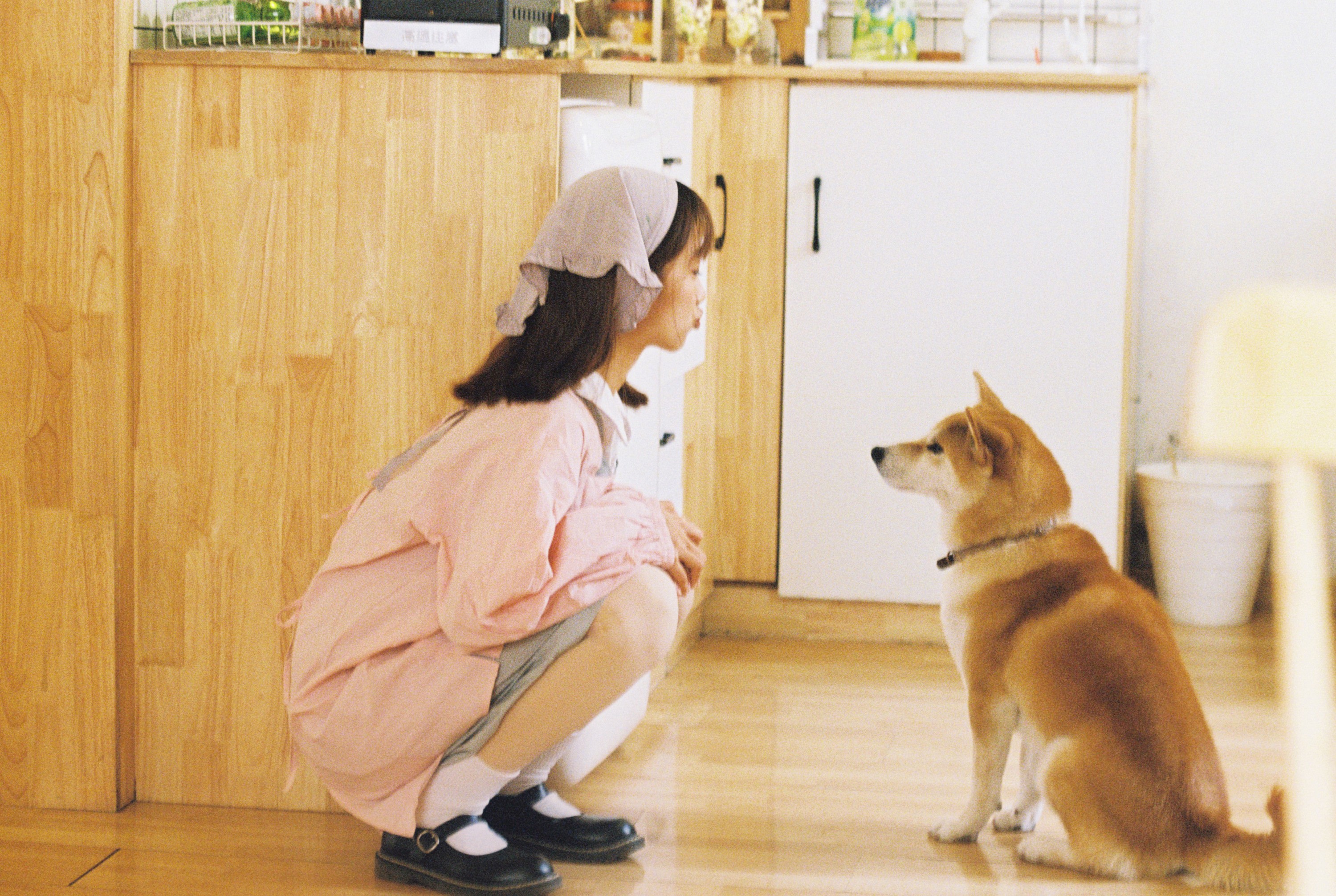 。 – 《这个世界不能没有小狗！》[22P] 插图5