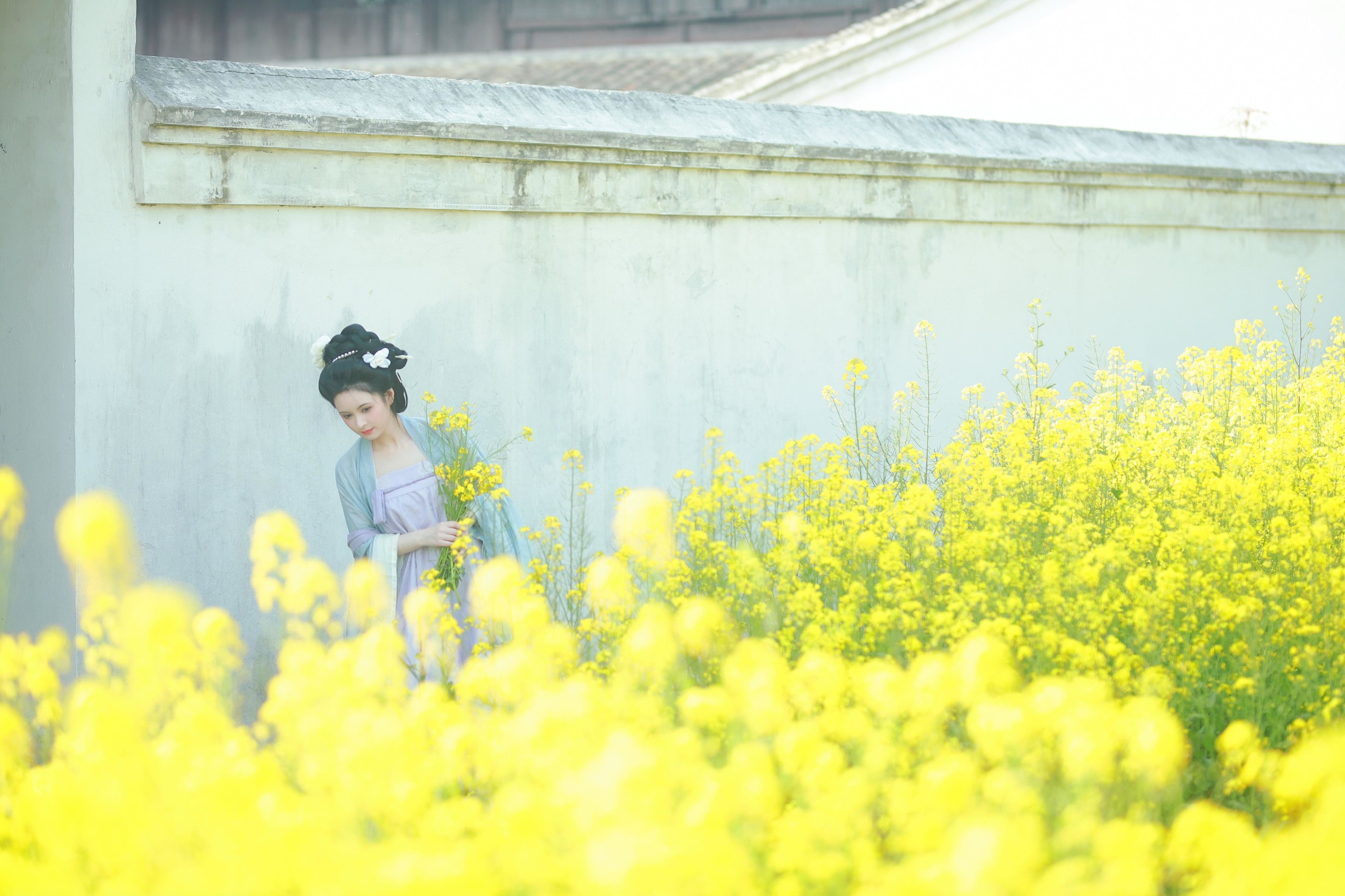 6161 – 《唐风写真油菜花》[24P] 插图5