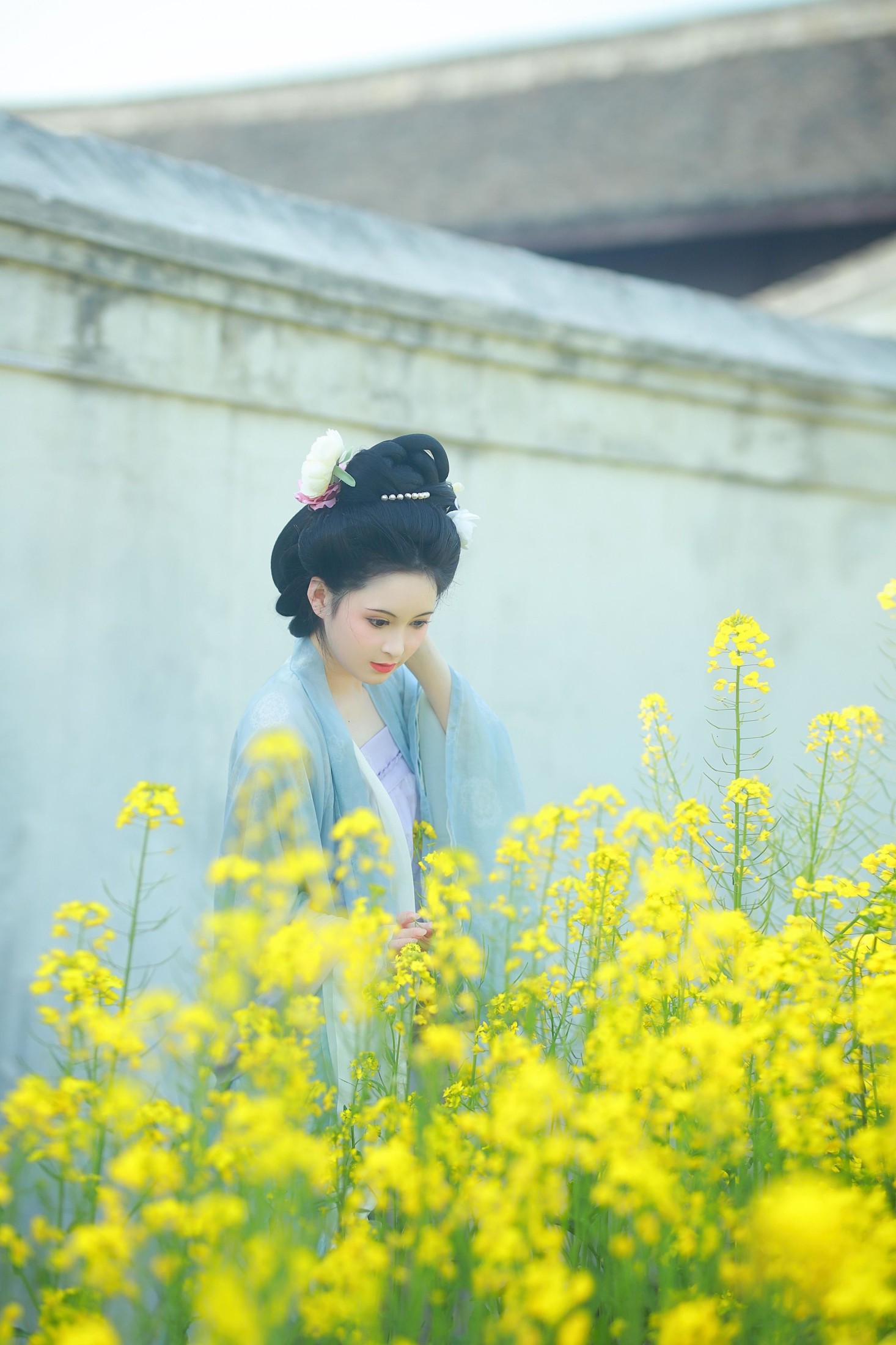 6161 – 《唐风写真油菜花》[24P]-66COS