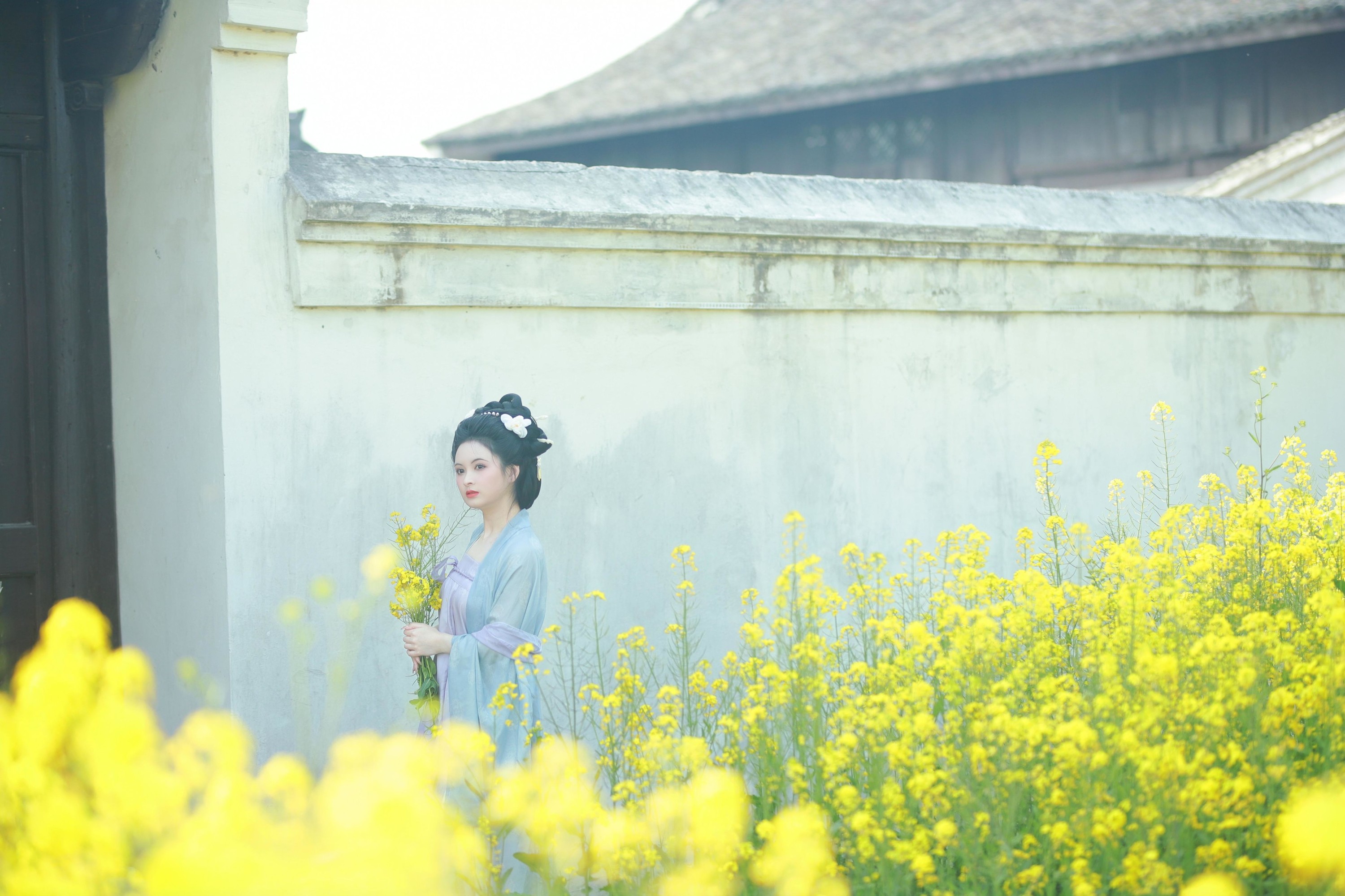 6161 – 《唐风写真油菜花》[24P] 插图3