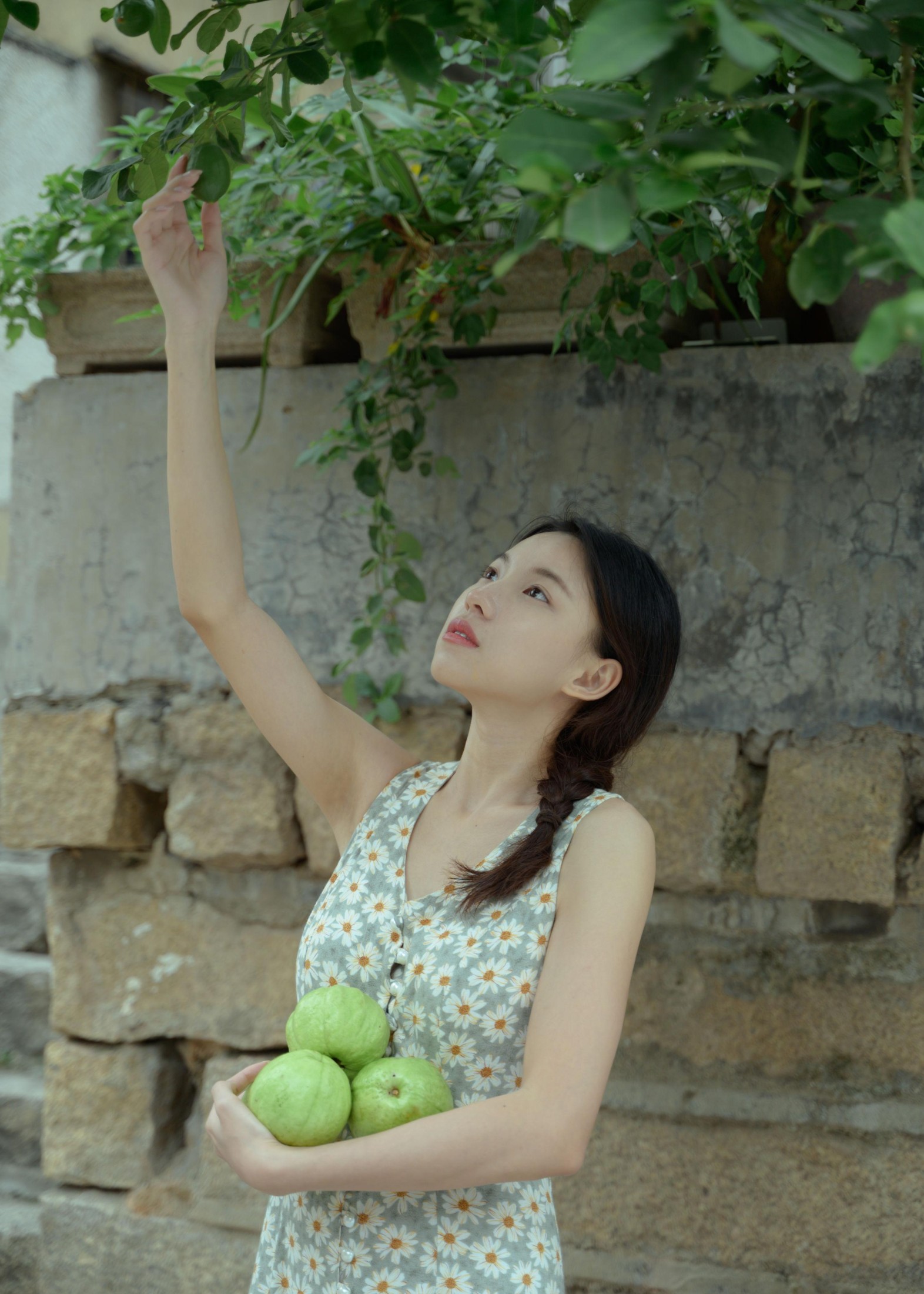 潘潘 – 《夏天的具象化》[29P]-66COS