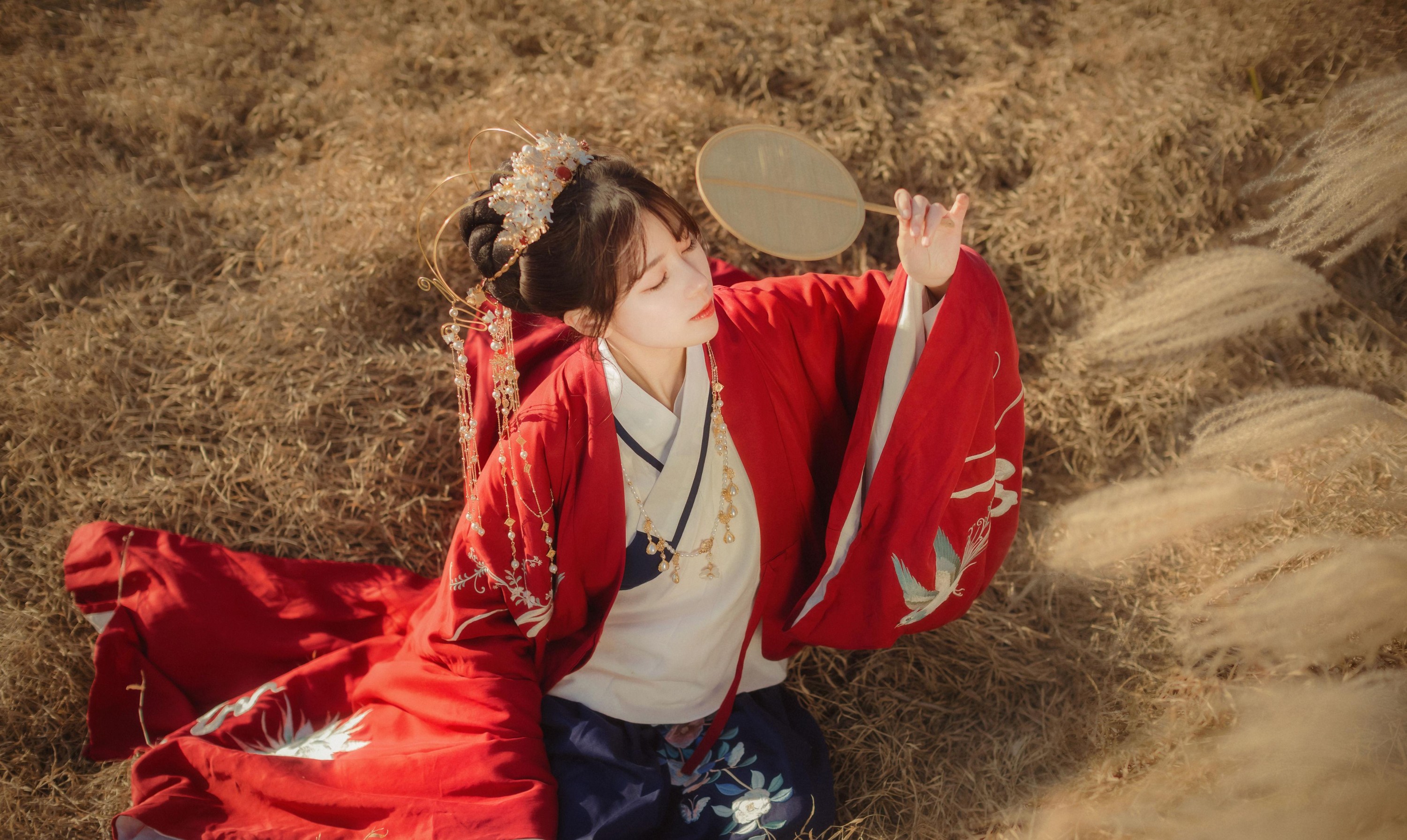 公子不坏 – 《扶摇歌》[29P]-66COS