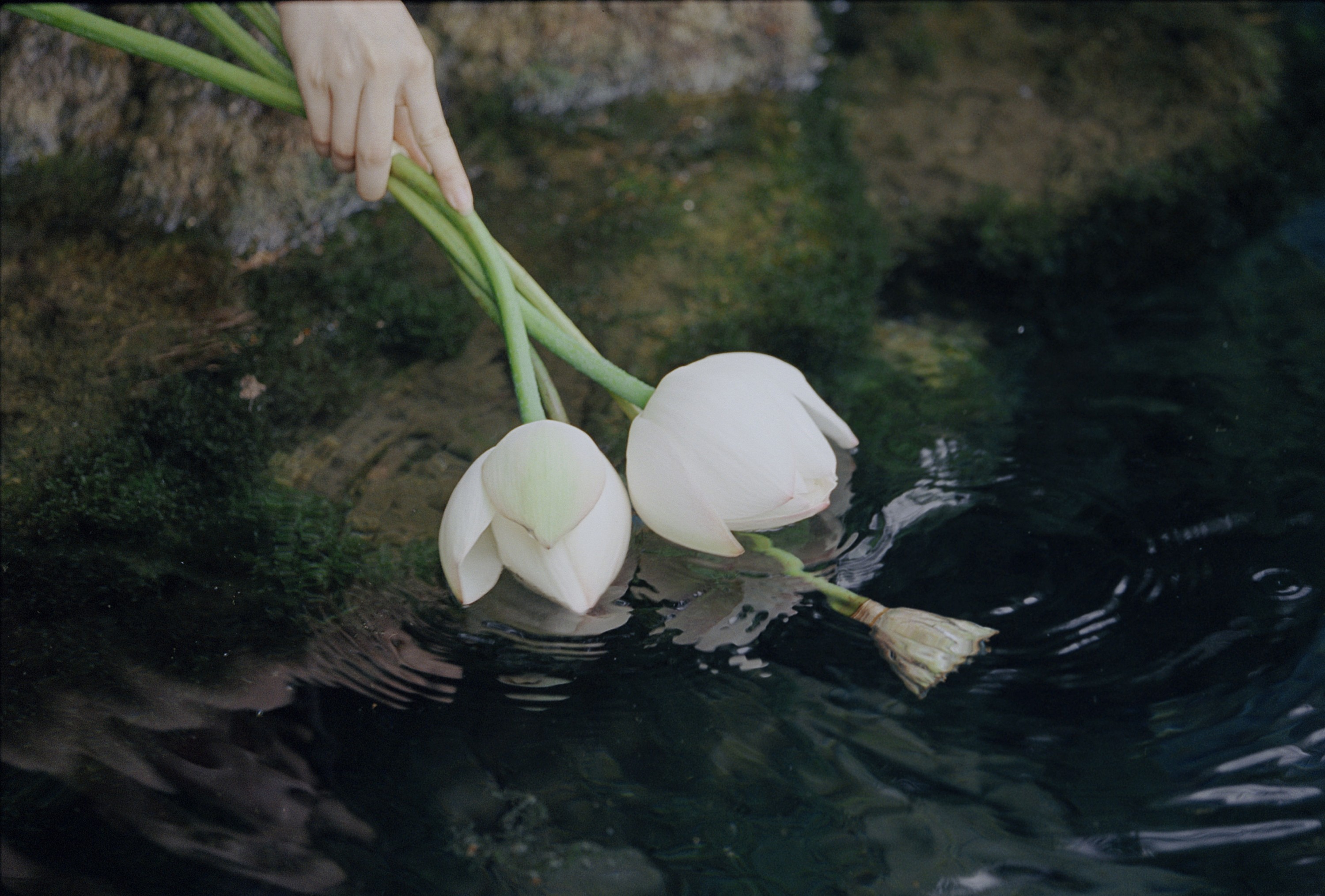 Mortal – 《泉生》[18P] 插图3