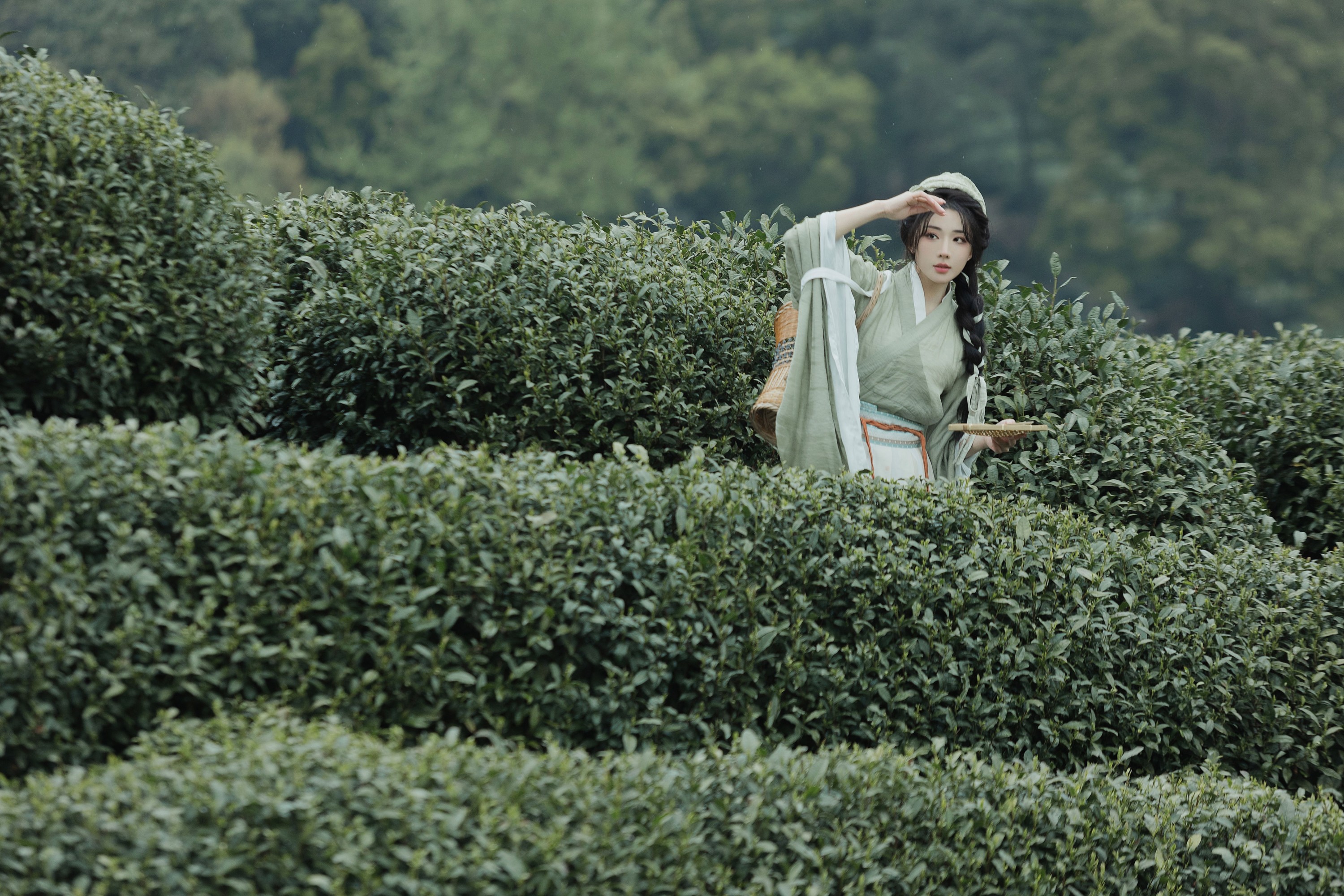 是真的南渊 – 《采茶》[81P] 插图5