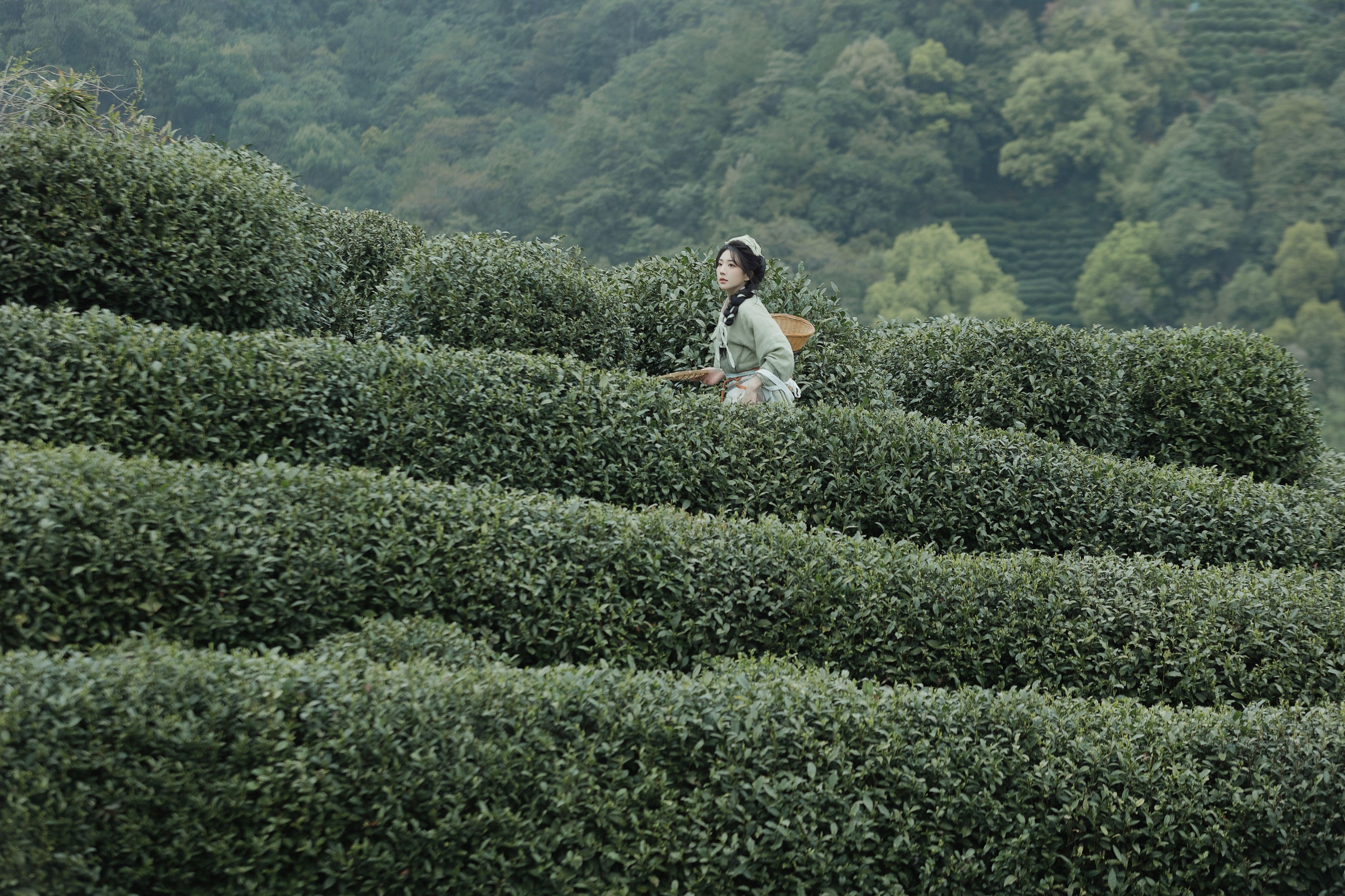 是真的南渊 – 《采茶》[81P] 插图4