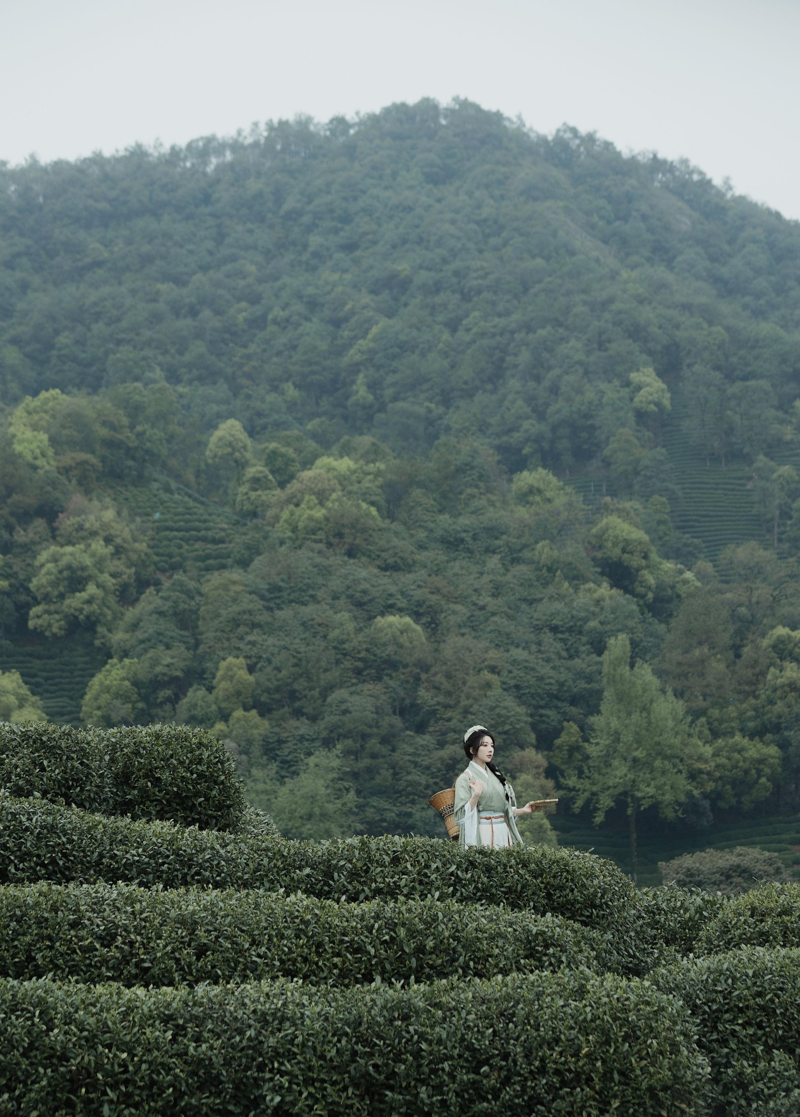 是真的南渊 – 《采茶》[81P] 插图2