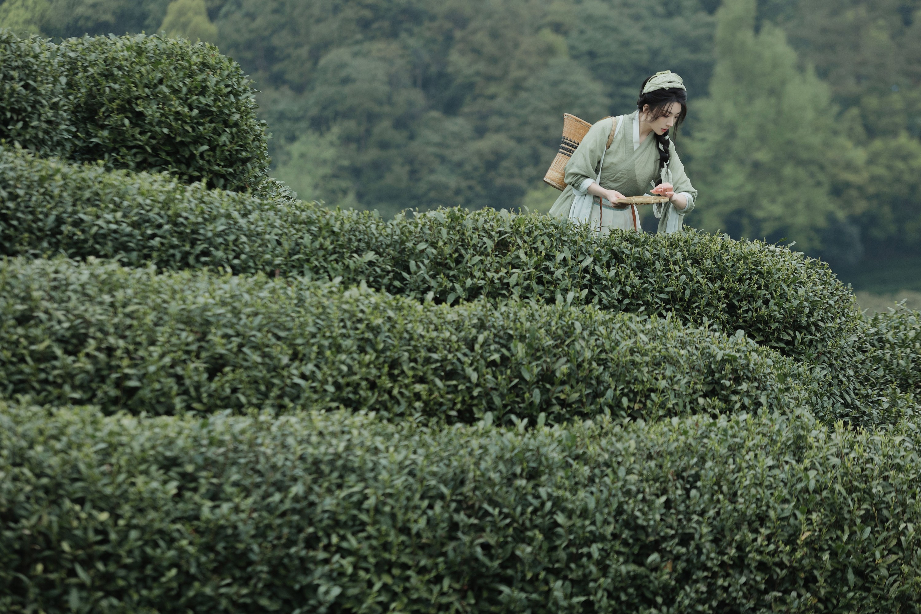 是真的南渊 – 《采茶》[81P] 插图3
