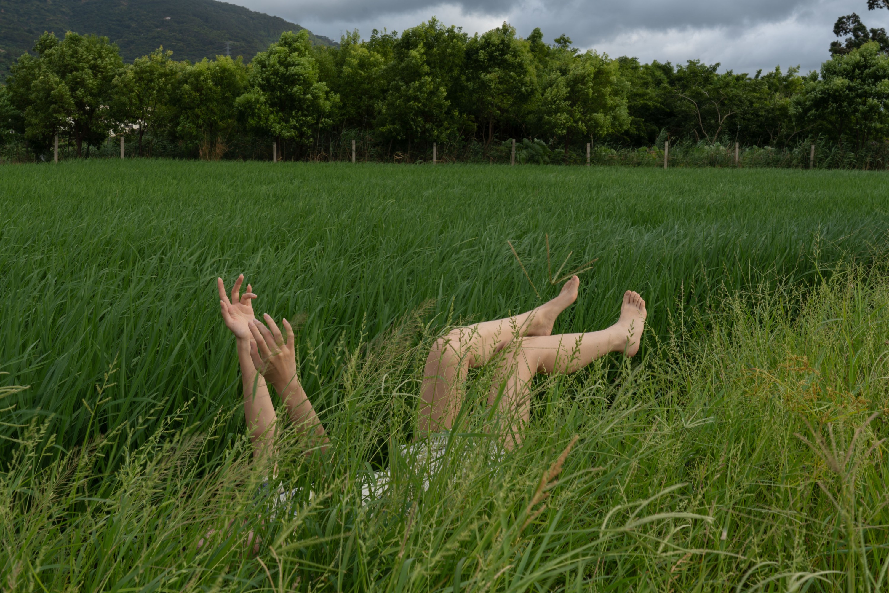 鹿米 – 《稻田来信》[32P] 插图5