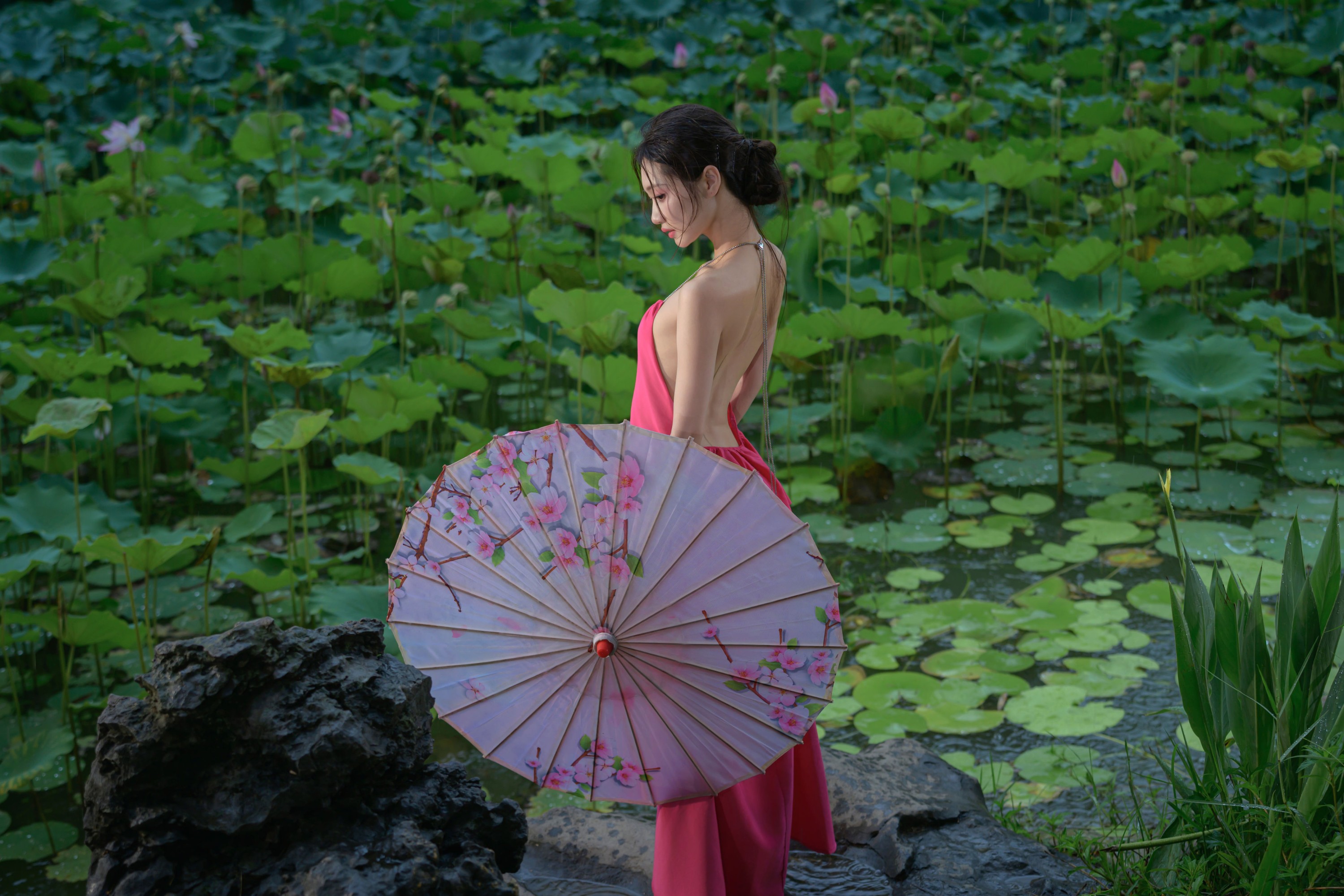 瑾瑾吖 – 《雨荷》[17P]-66COS