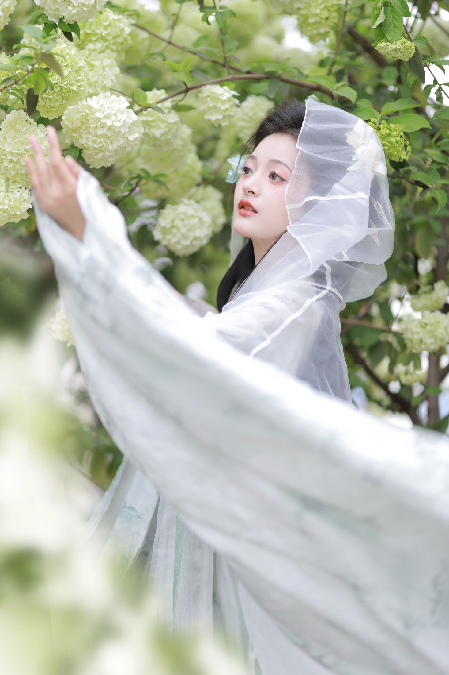 端端 – 《中华木绣球》[13P] 插图5