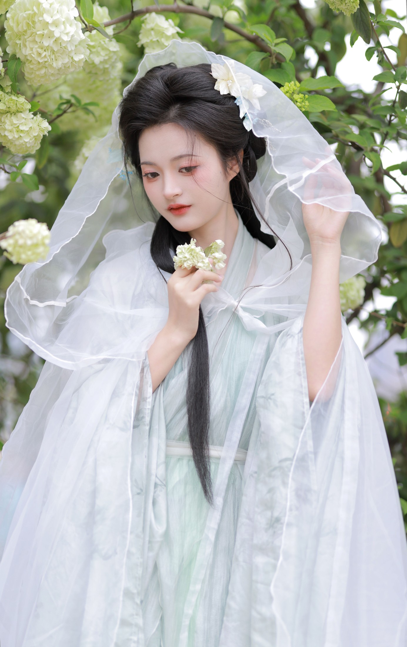 端端 – 《中华木绣球》[13P] 插图4