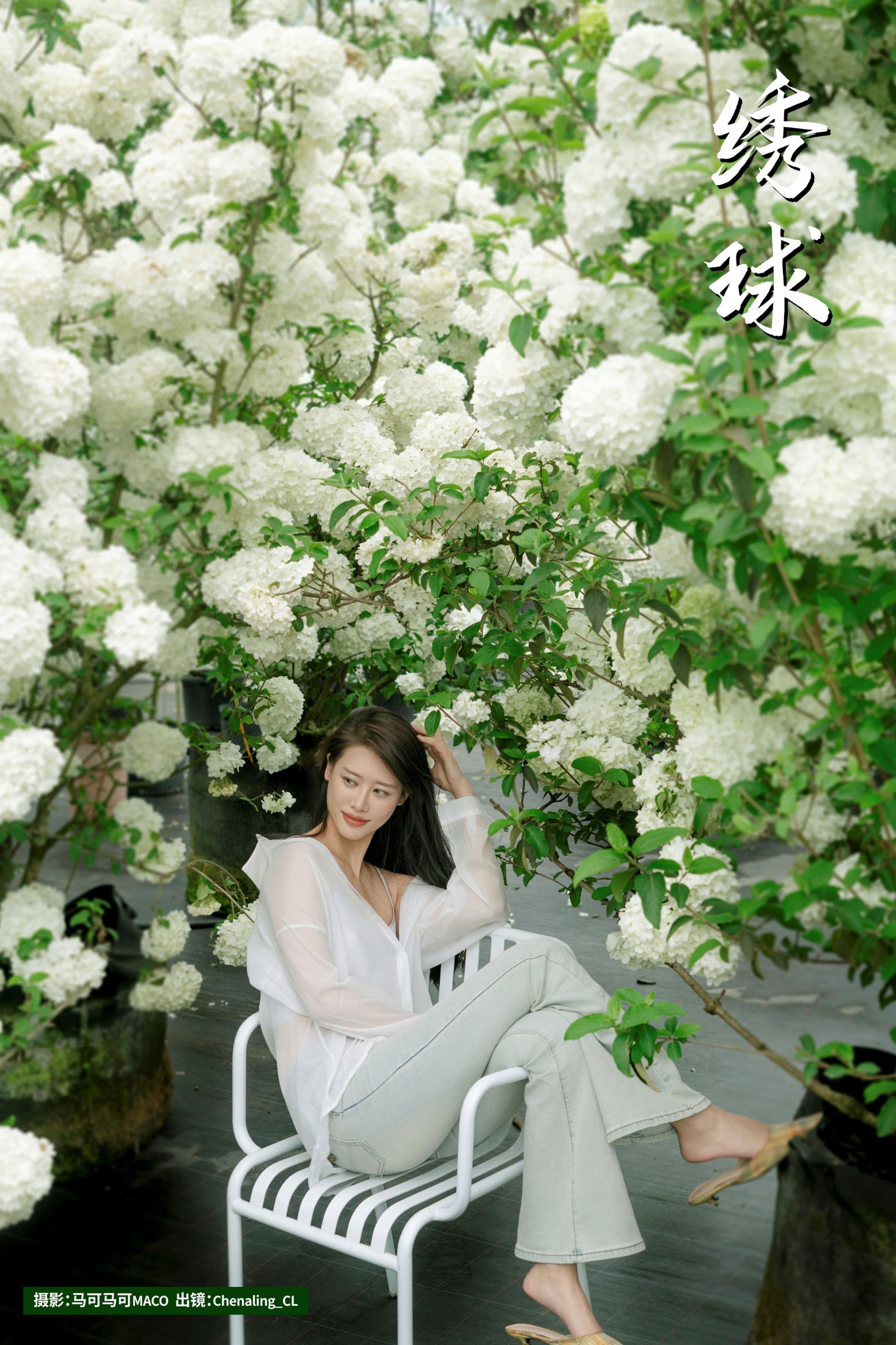 Chenaling_CL – 《绣球》[20P]-66COS